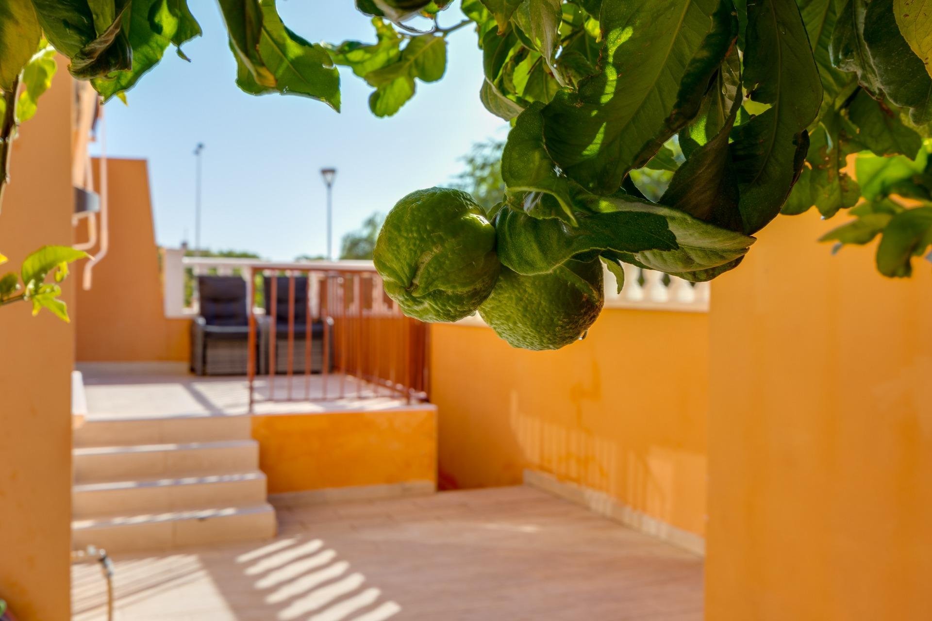 Revânzare - Bungalou -
Torrevieja - Aguas Nuevas