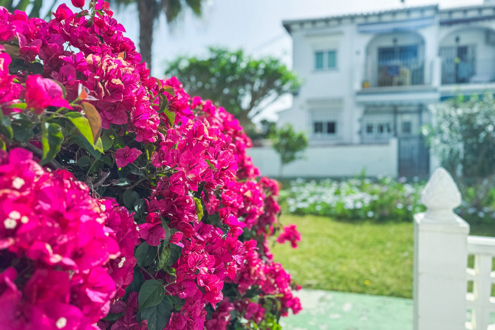 Revânzare - Bungalou -
Torrevieja - Costa Blanca