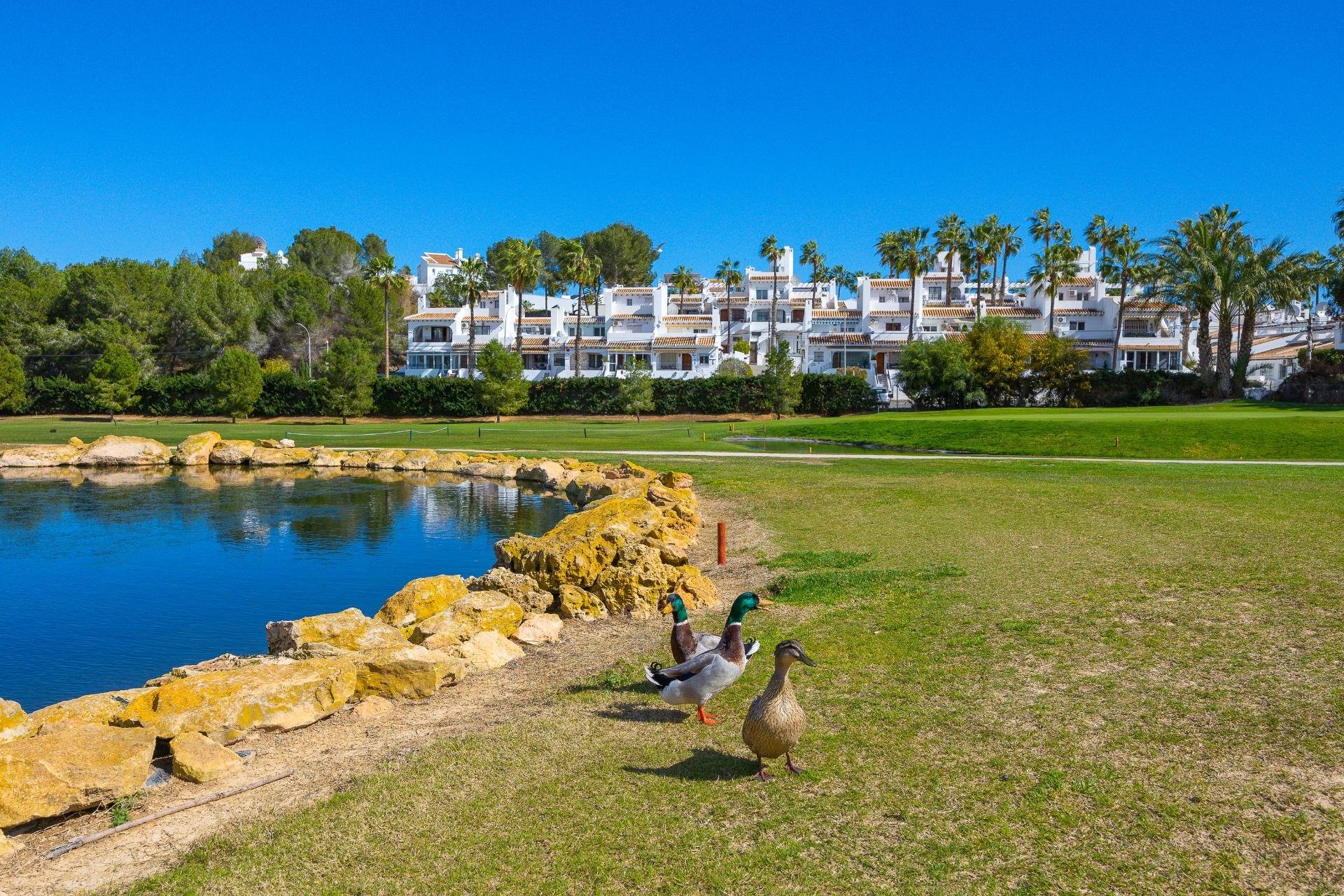 Revânzare - Duplex -
Orihuela Costa - Las Filipinas
