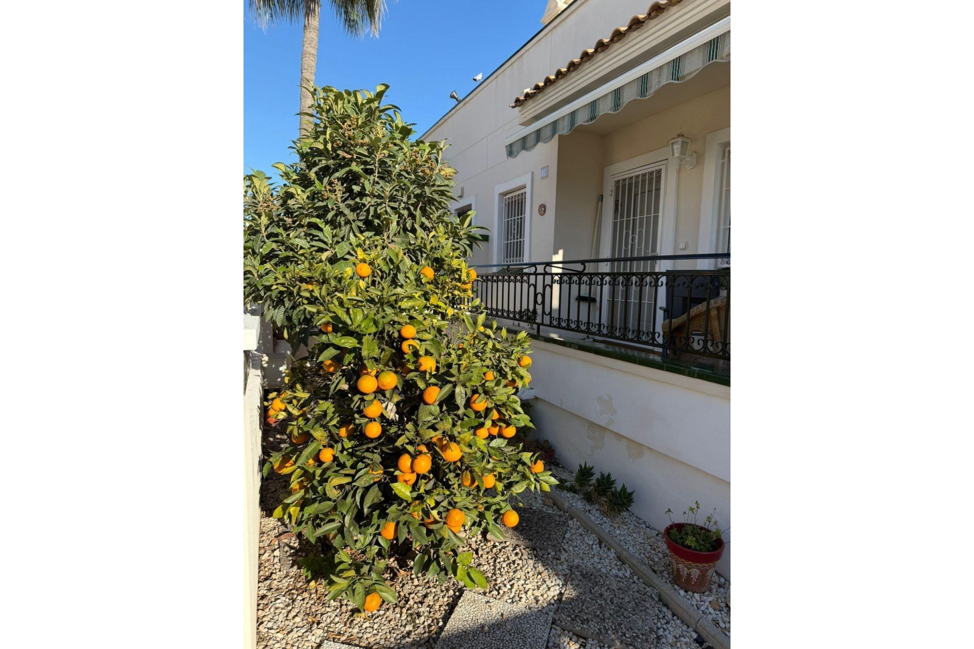 Revânzare - Semi Detached -
Orihuela Costa - Playa Flamenca