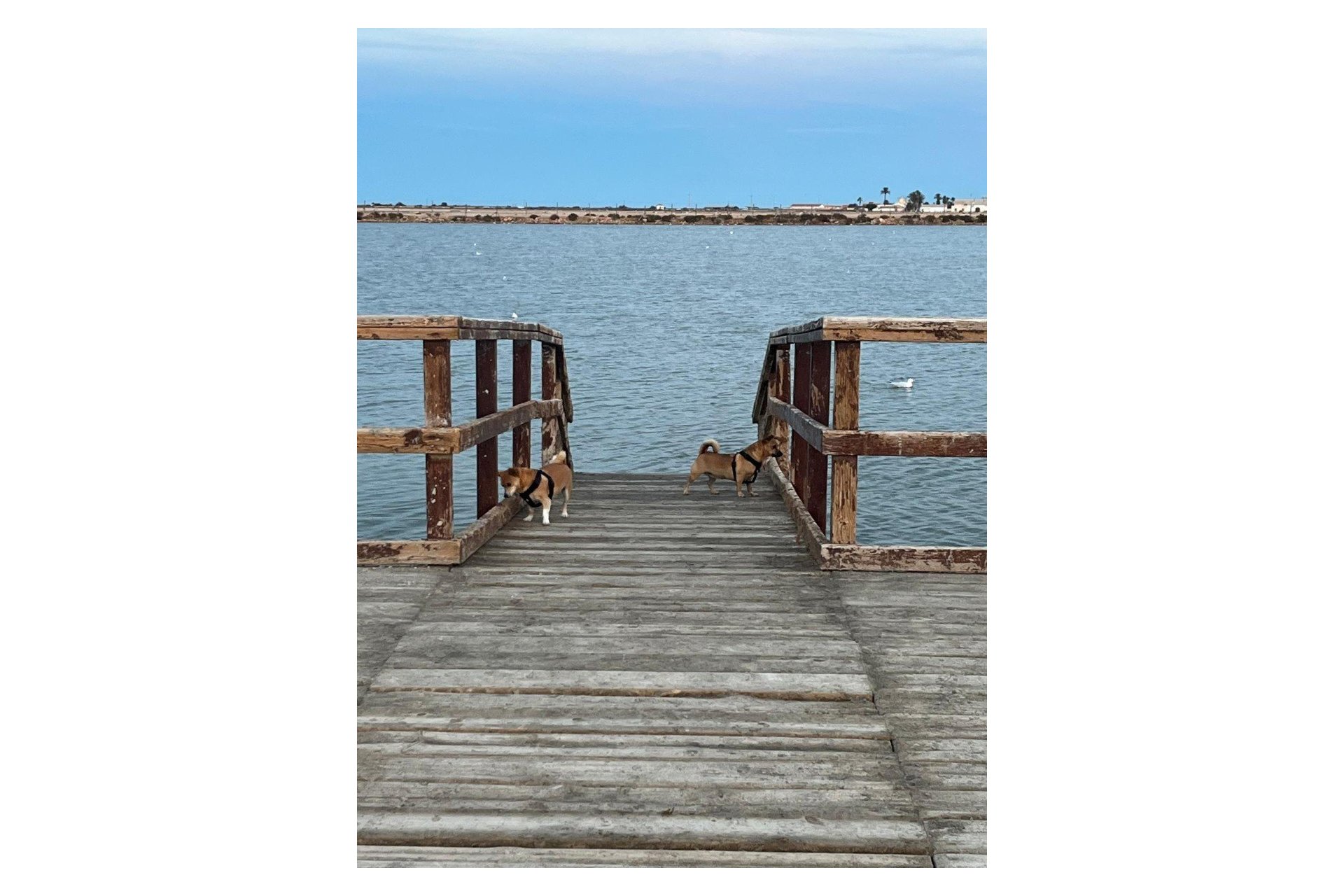 Revânzare - Town House -
San Pedro del Pinatar - Costa Calida