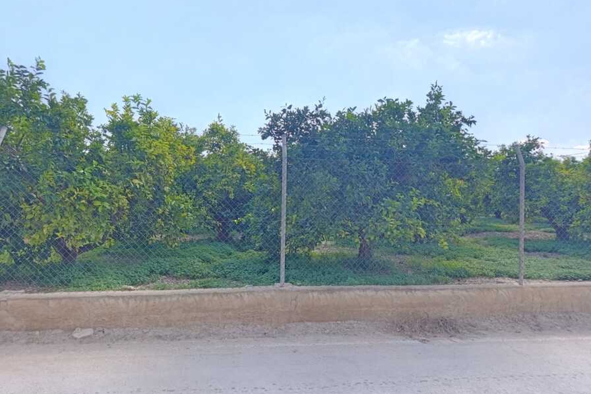Revente - Appartement -
Benejúzar - Inland