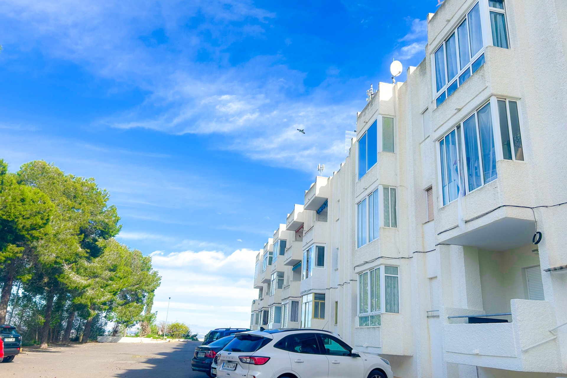 Revente - Appartement -
Ciudad Quesada - Costa Blanca