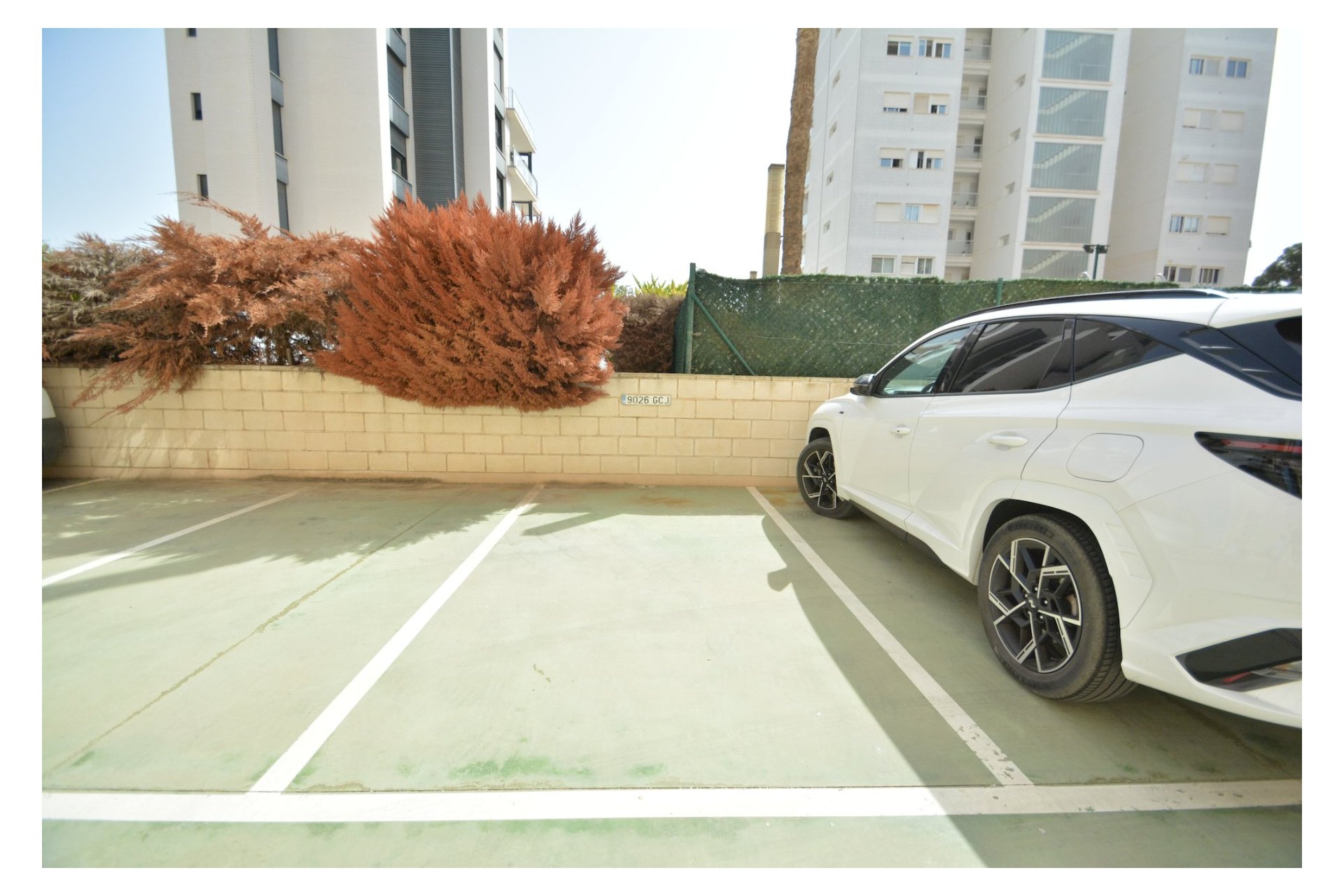 Revente - Appartement -
Guardamar del Segura - Costa Blanca