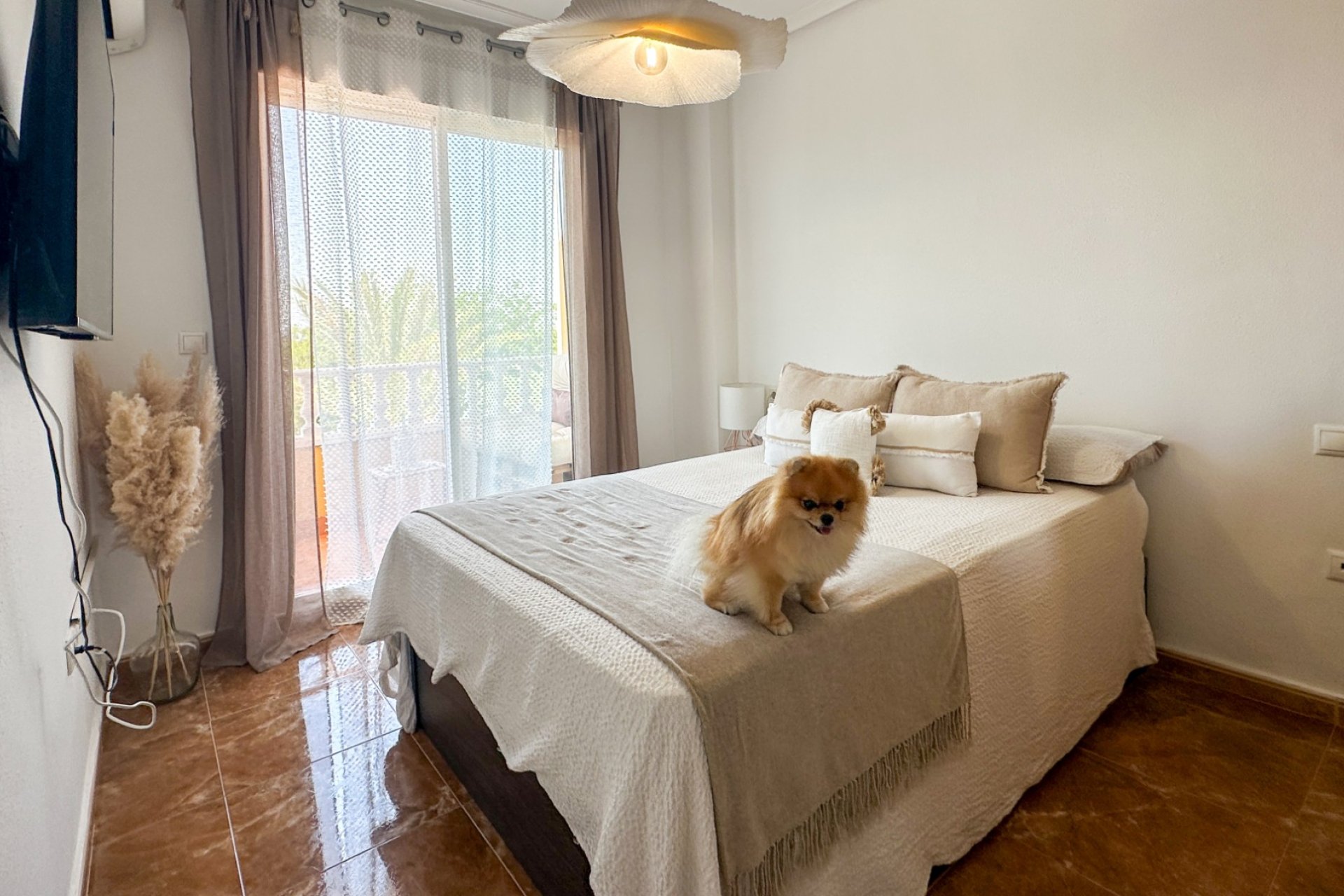 Revente - Appartement -
Guardamar del Segura - Costa Blanca