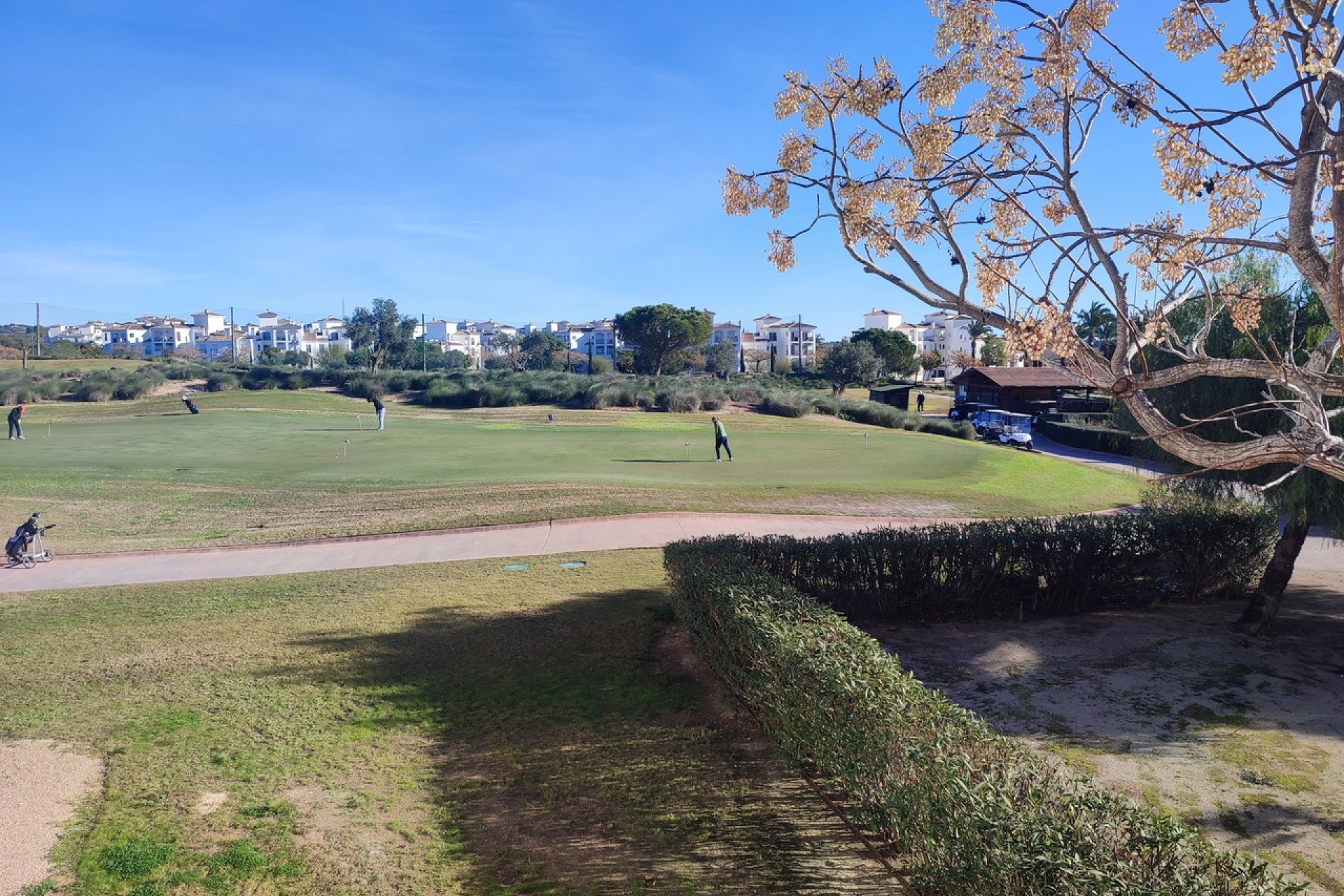 Revente - Appartement -
Hacienda Riquelme Golf Resort - Inland