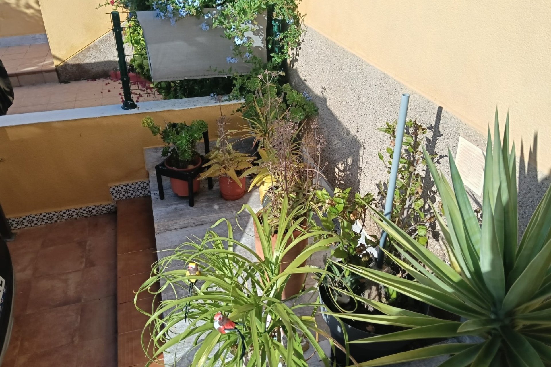 Revente - Appartement -
Los Montesinos - Costa Blanca
