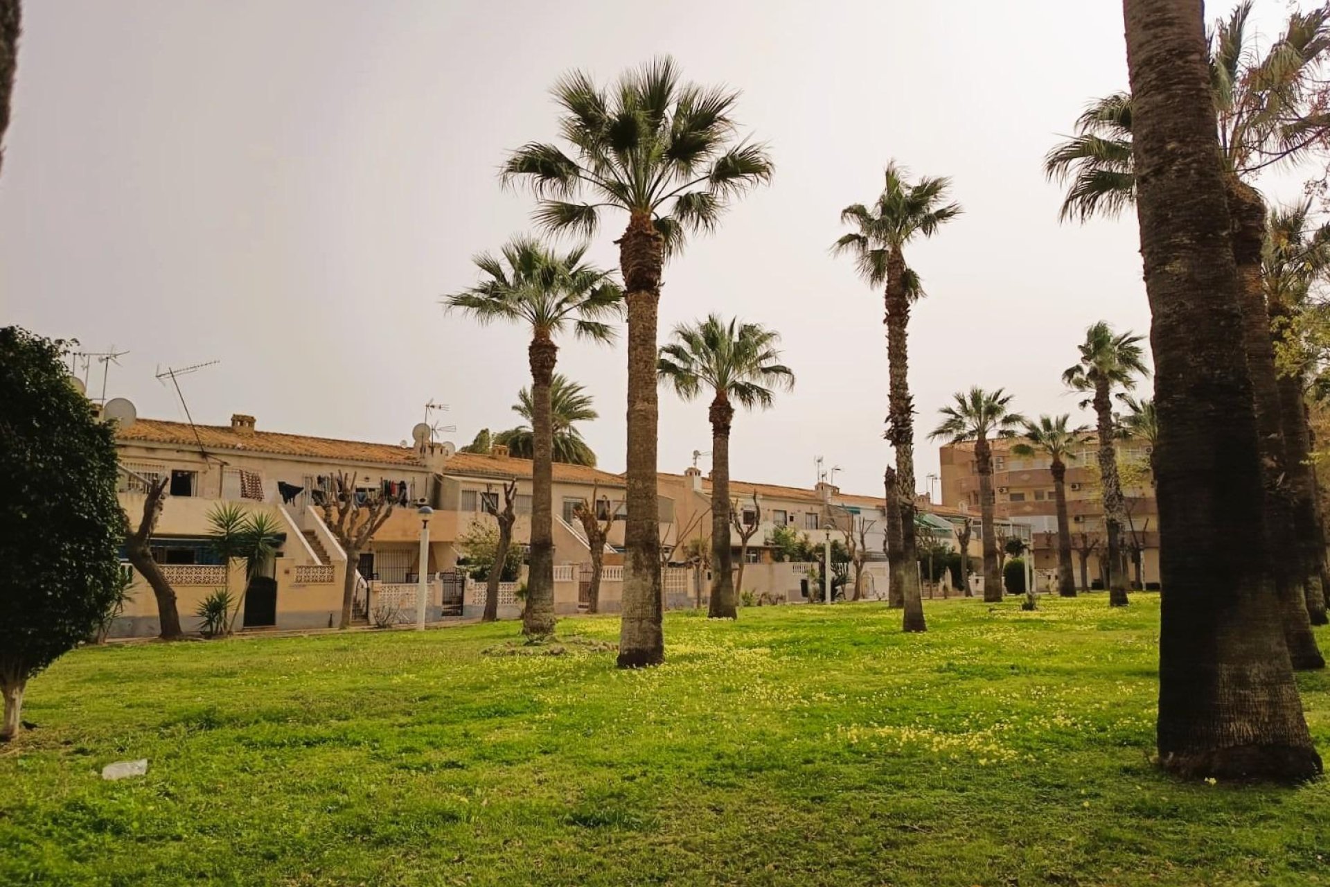 Revente - Appartement -
Orihuela Costa - Costa Blanca