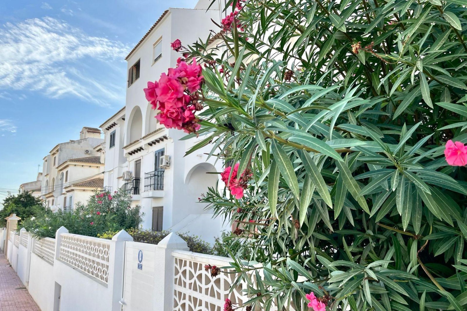 Revente - Appartement -
Torrevieja - Calas Blanca
