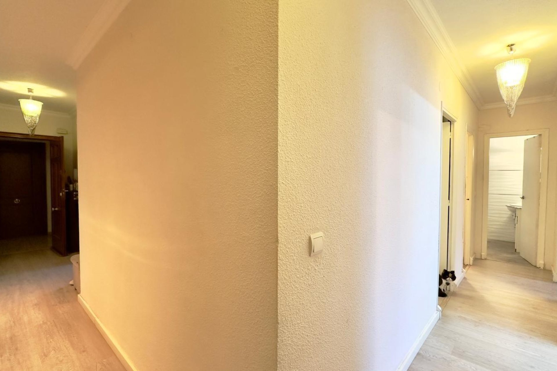 Revente - Appartement -
Torrevieja - Centro