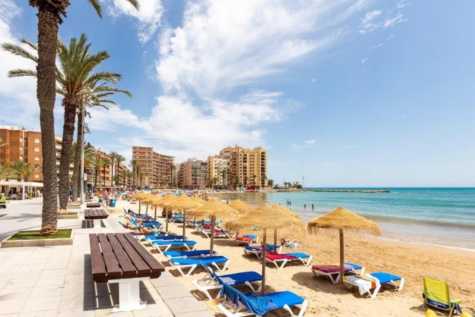 Revente - Appartement -
Torrevieja - Centro