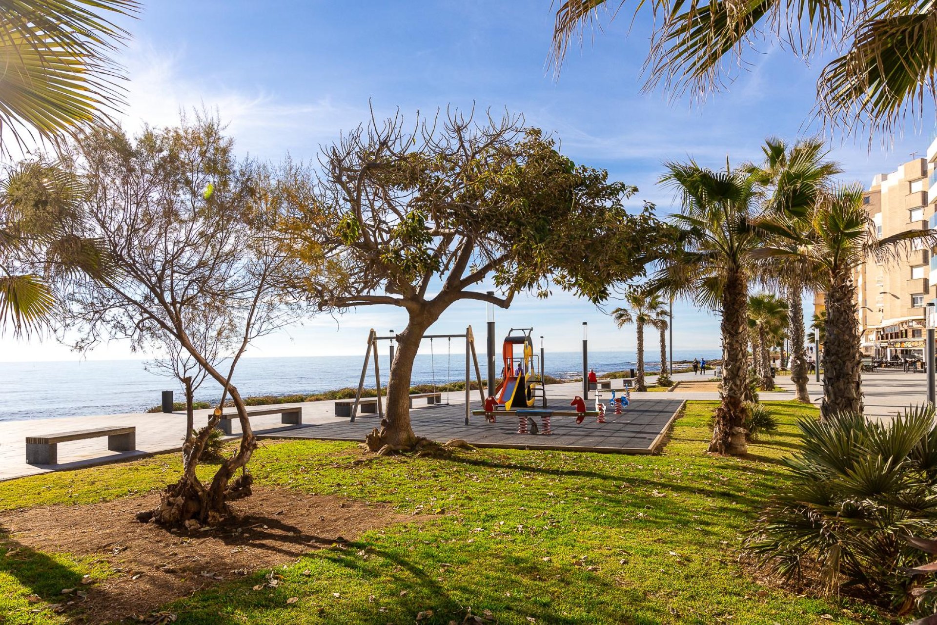 Revente - Appartement -
Torrevieja - Costa Blanca