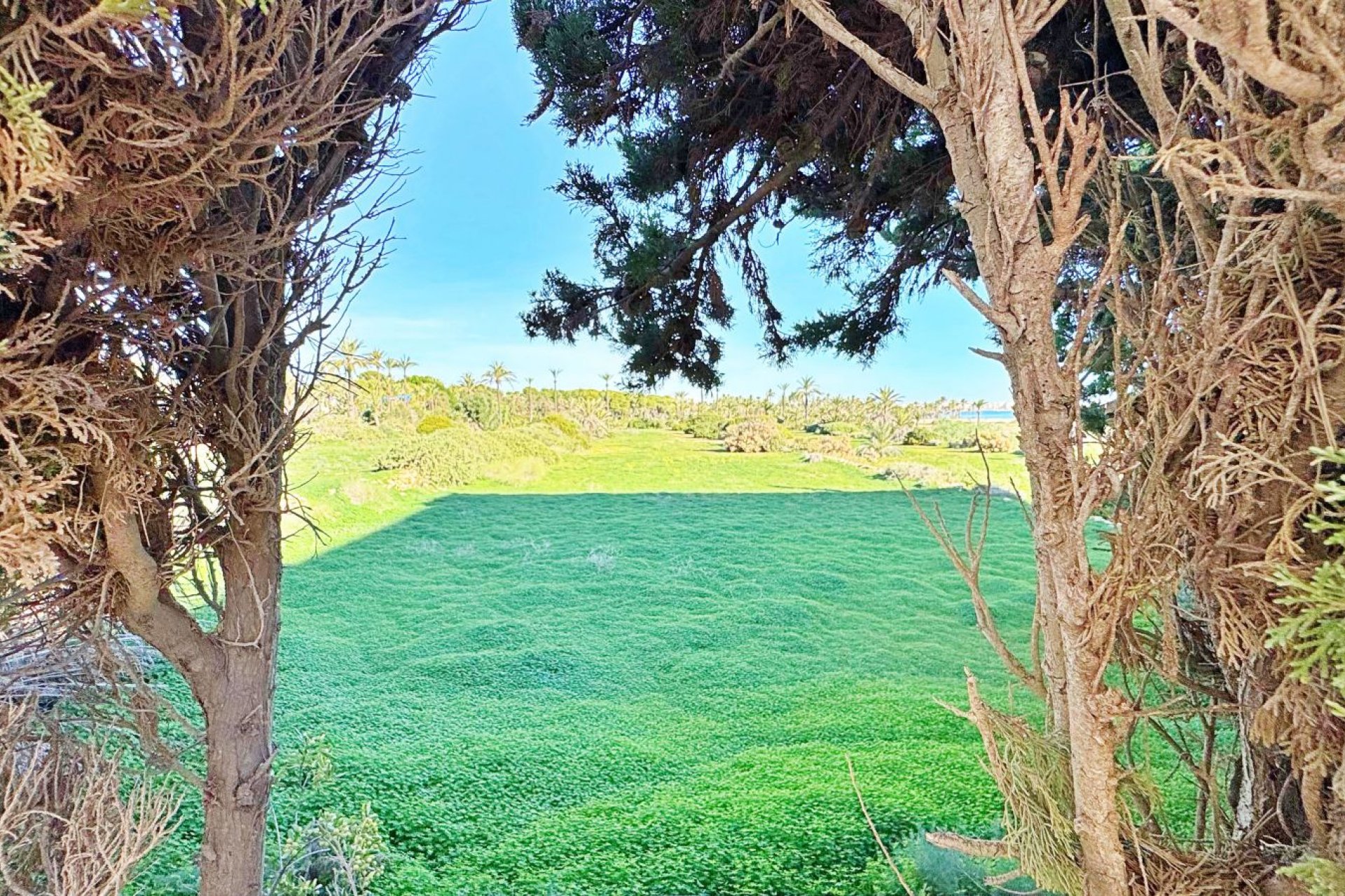 Revente - Appartement -
Torrevieja - Costa Blanca