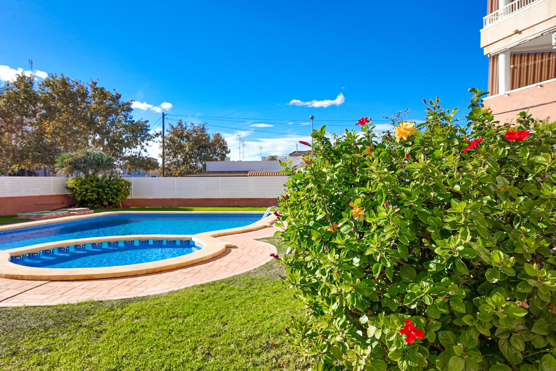 Revente - Appartement -
Torrevieja - Costa Blanca