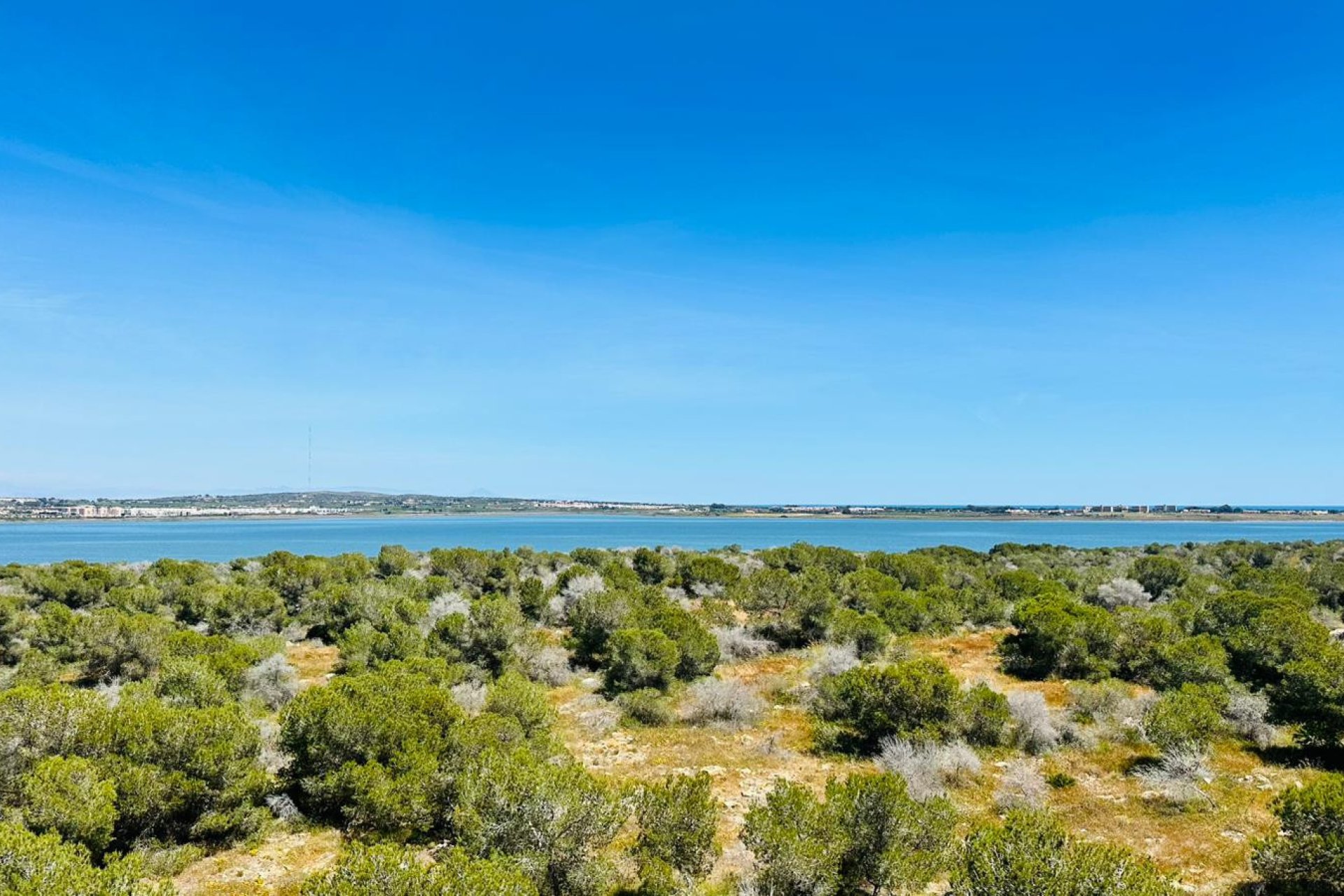 Revente - Appartement -
Torrevieja - Costa Blanca
