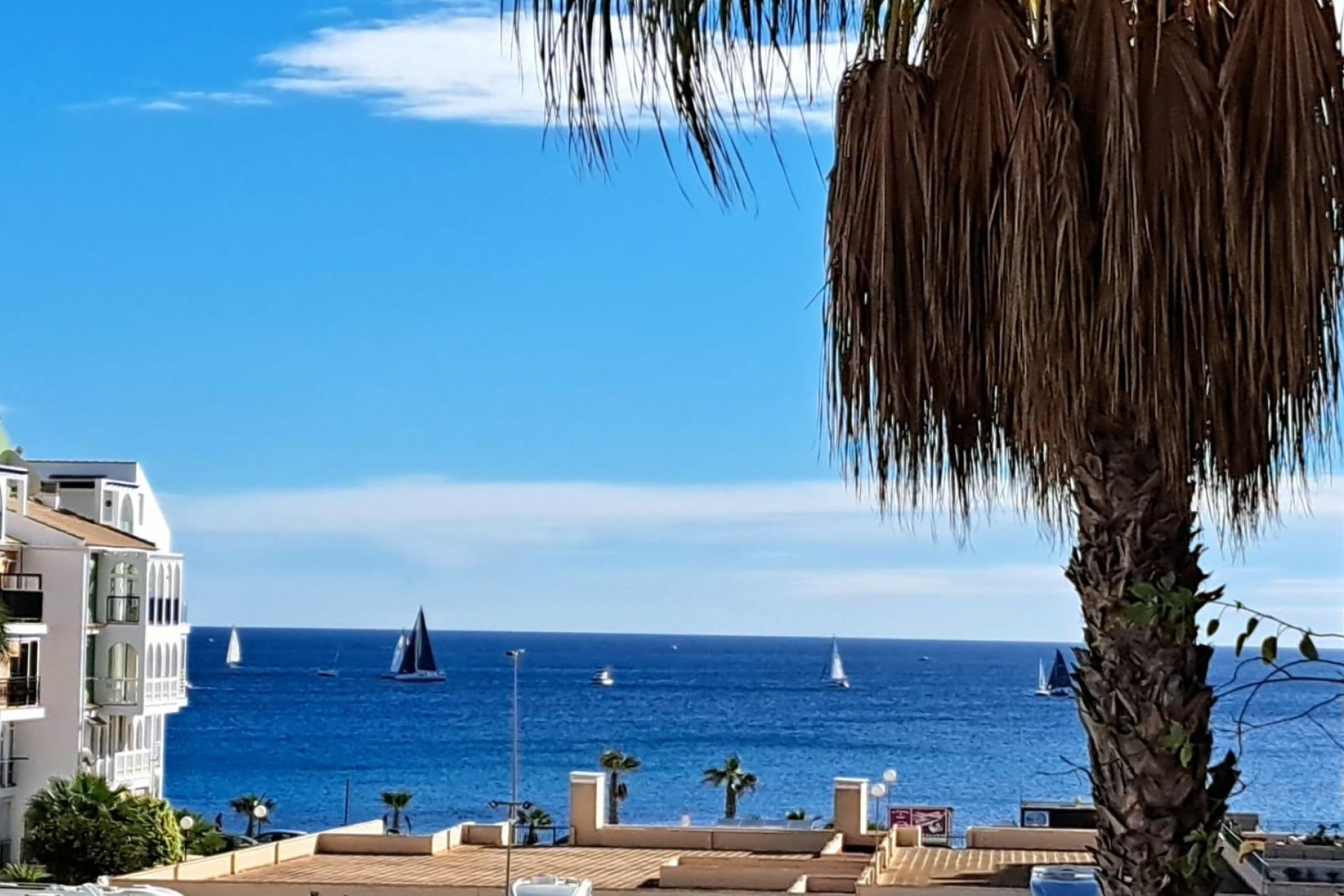 Revente - Appartement -
Torrevieja - Costa Blanca