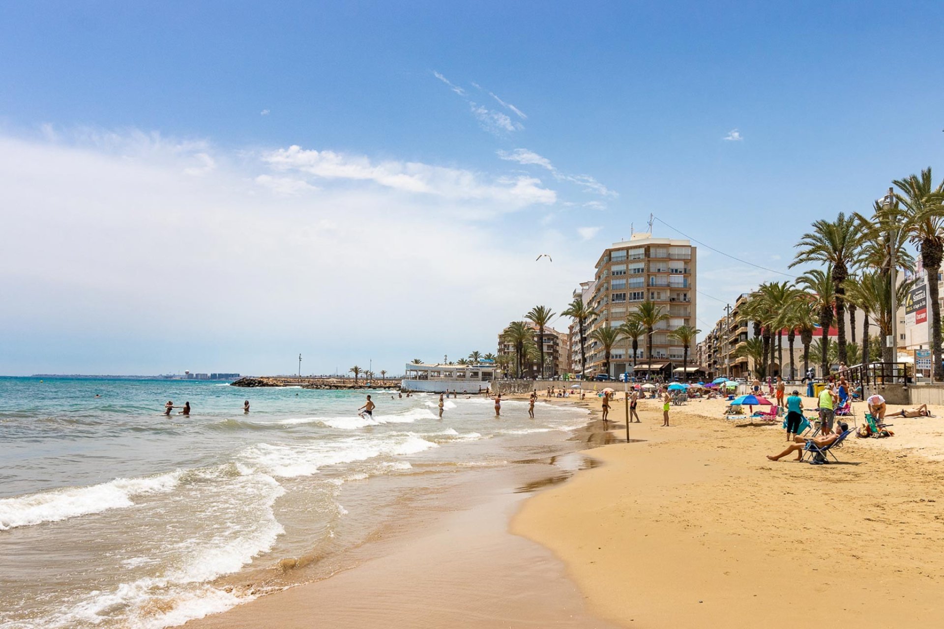 Revente - Appartement -
Torrevieja - Costa Blanca