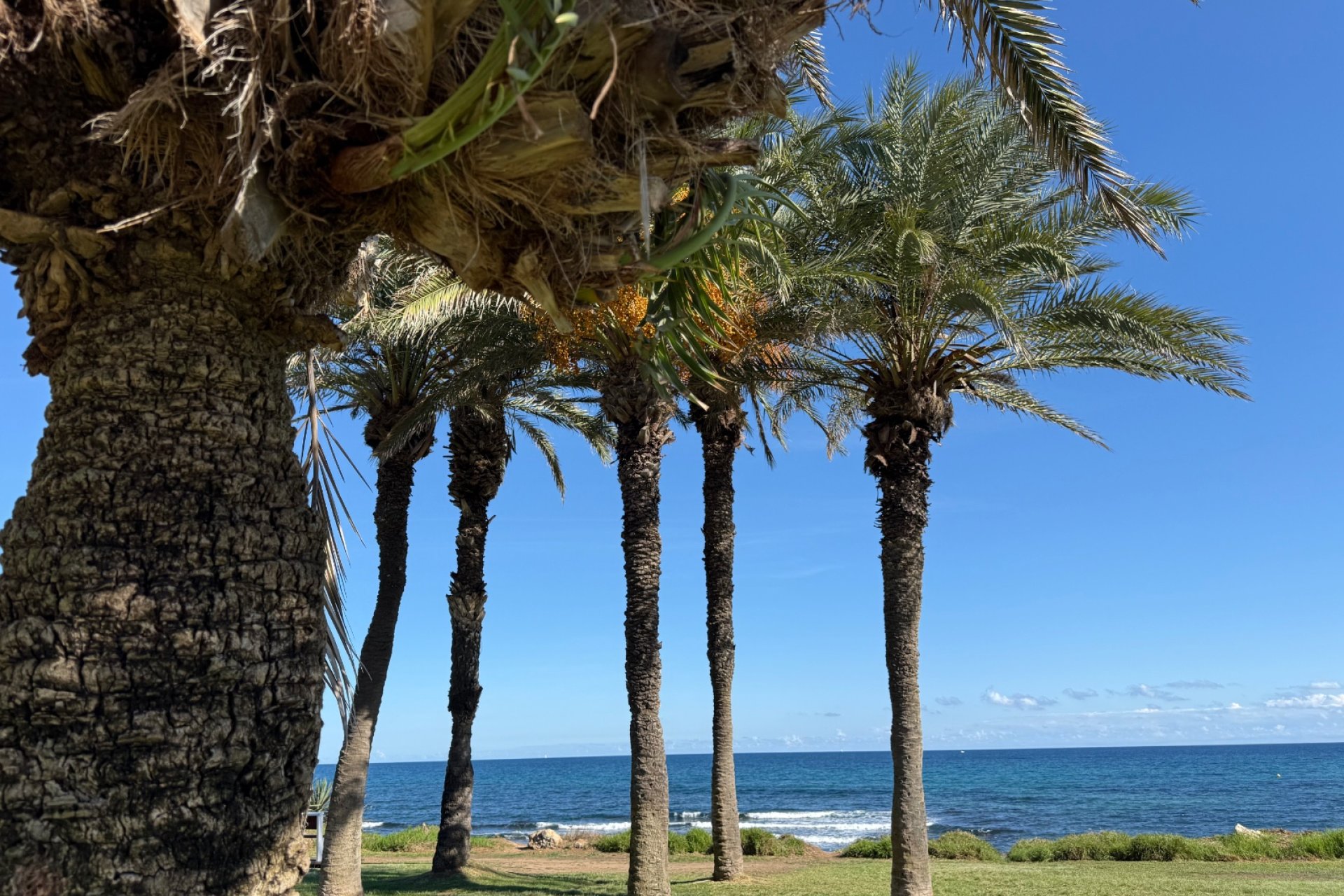 Revente - Appartement -
Torrevieja - Costa Blanca
