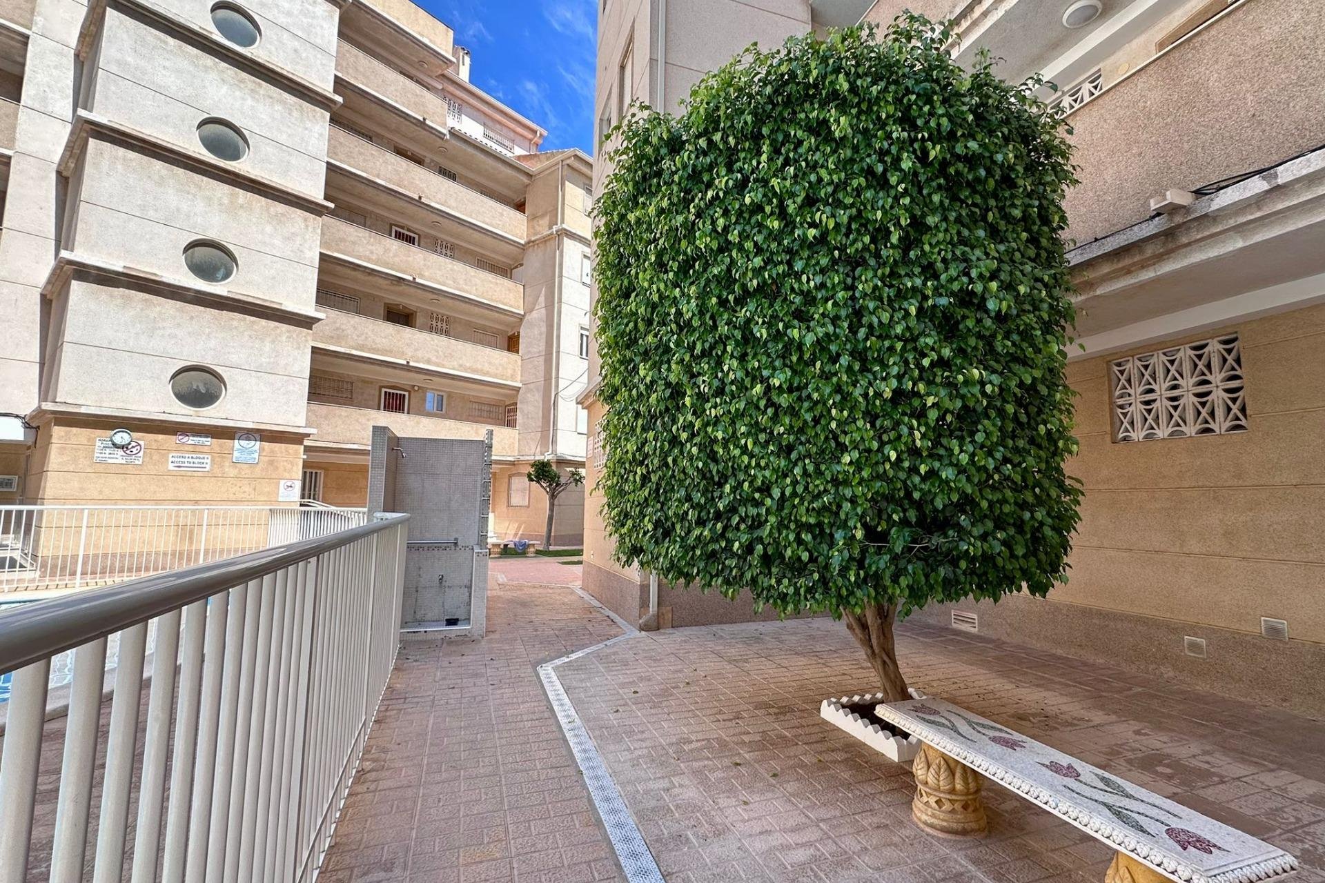Revente - Appartement -
Torrevieja - Habaneras