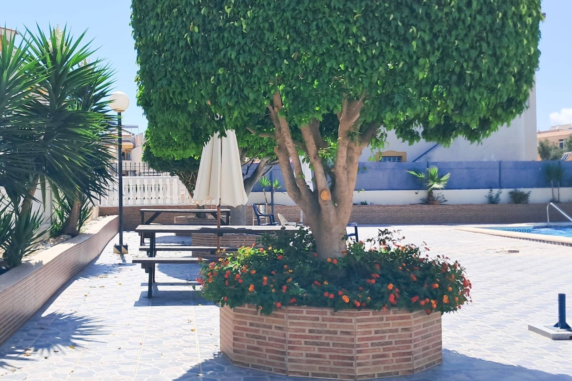 Revente - Appartement -
Torrevieja - Parque Acuático - Sector 25