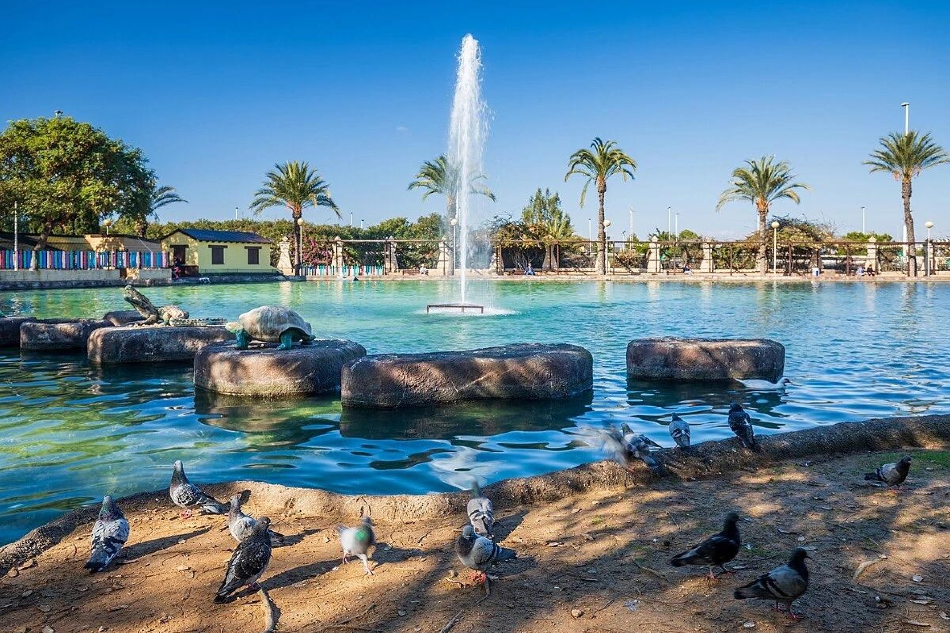 Revente - Appartement -
Torrevieja - Parque Las Naciones