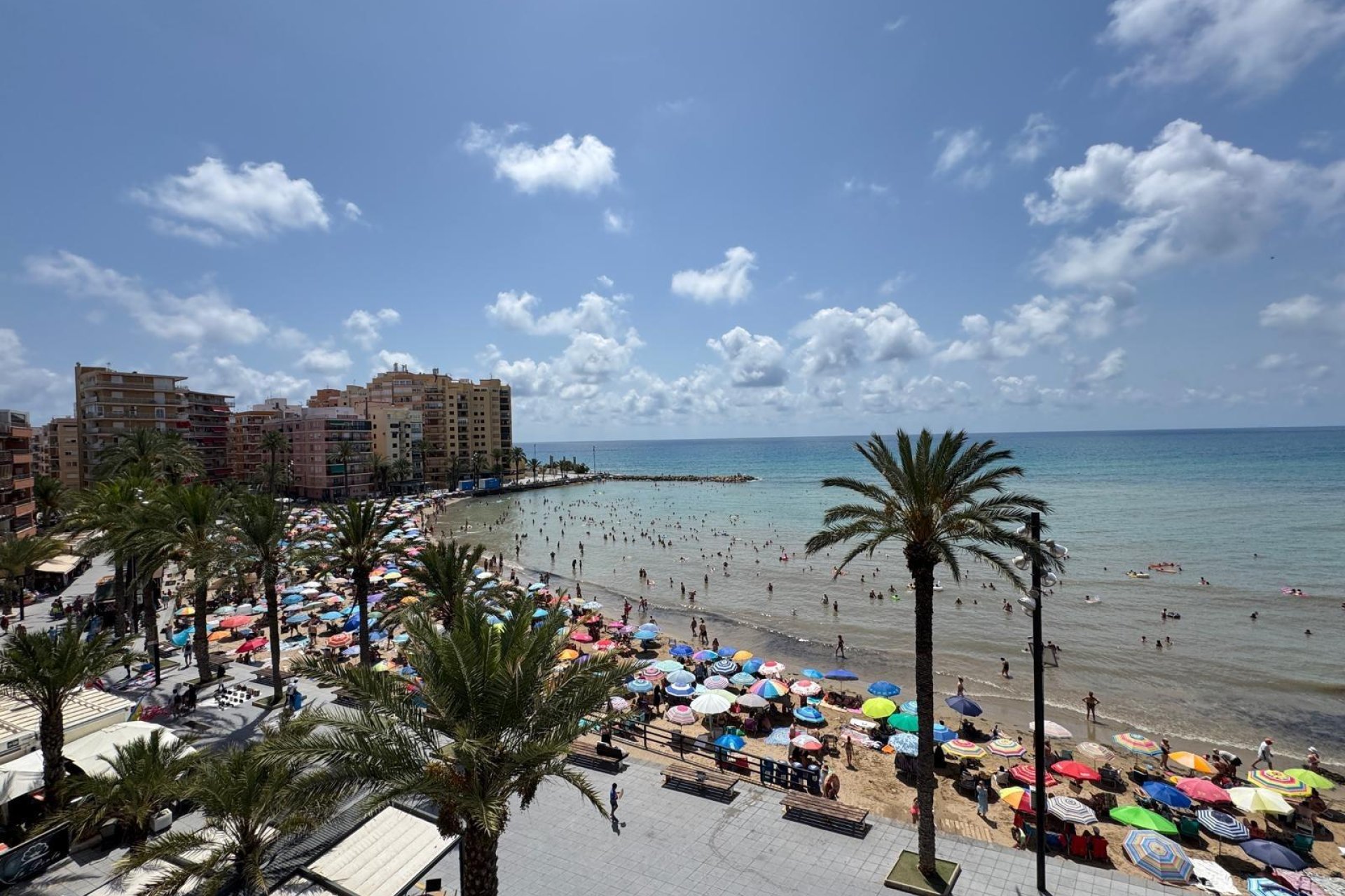 Revente - Appartement -
Torrevieja - Playa del Cura
