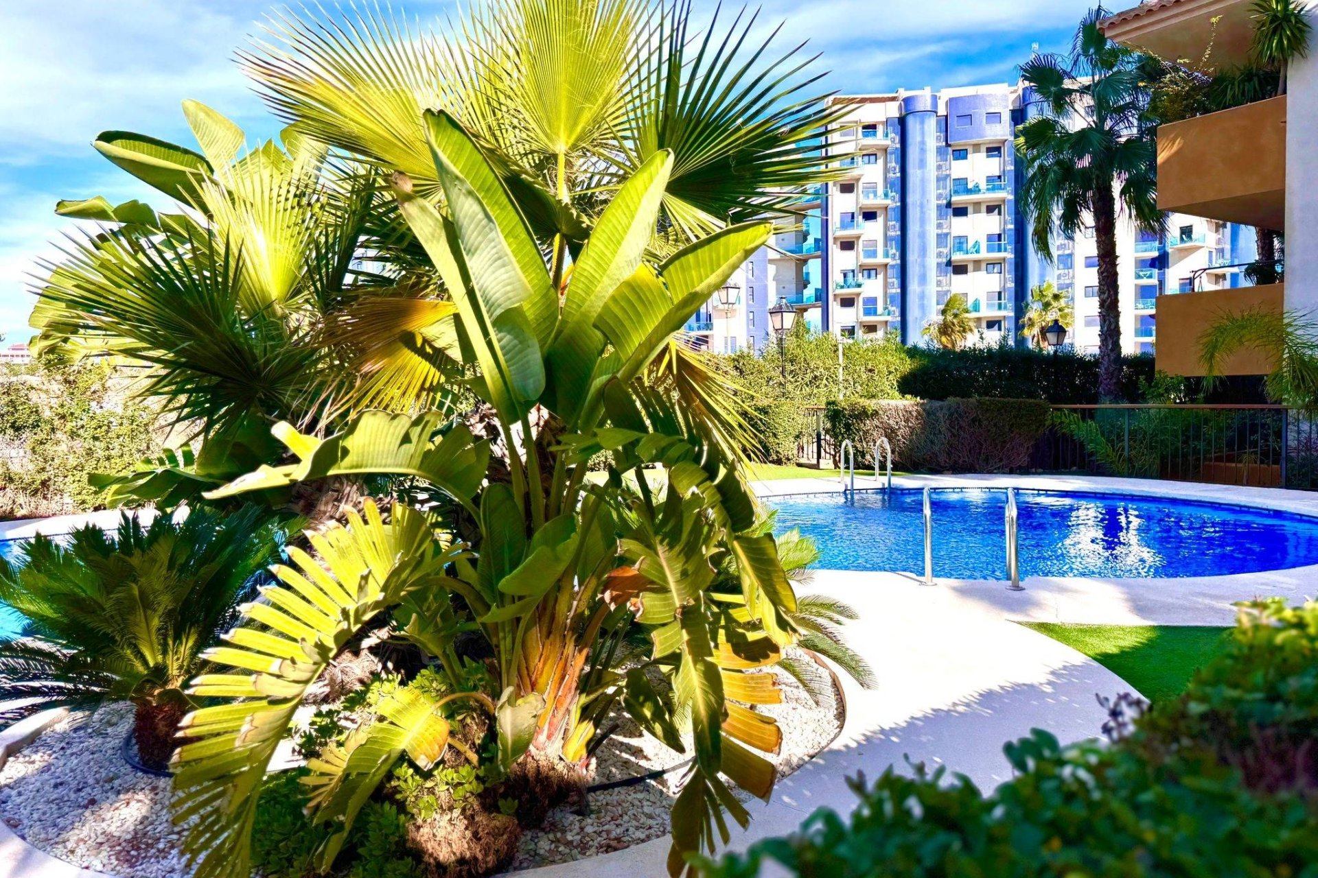 Revente - Appartement -
Torrevieja - Punta Prima