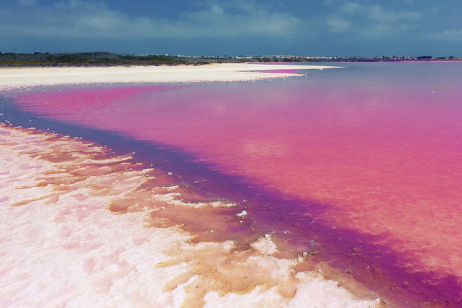 Revente - Appartement -
Villamartin - Costa Blanca