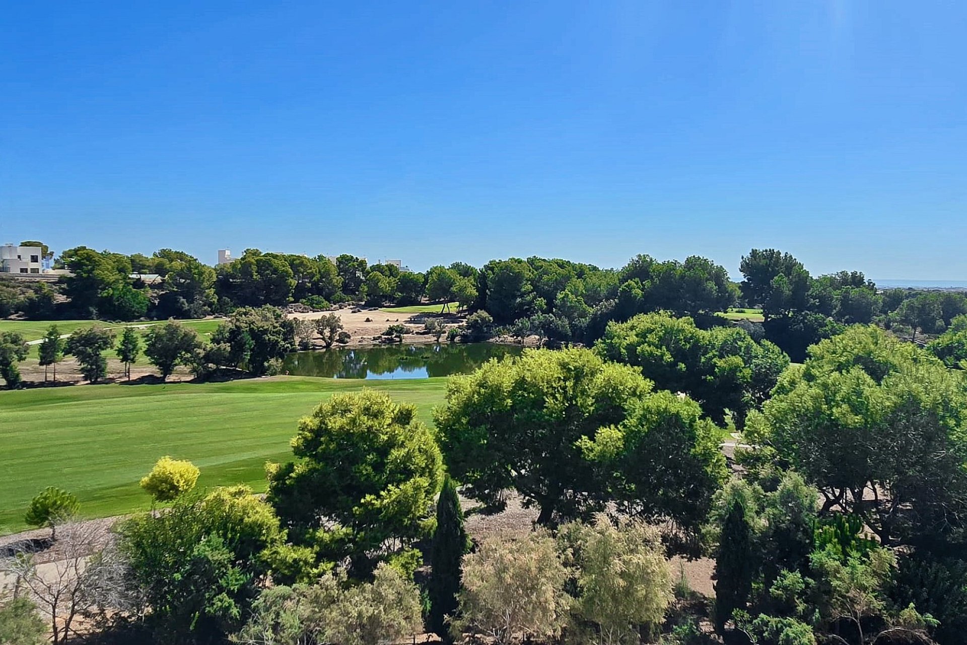 Revente - Attique -
Lo Romero Golf - Inland