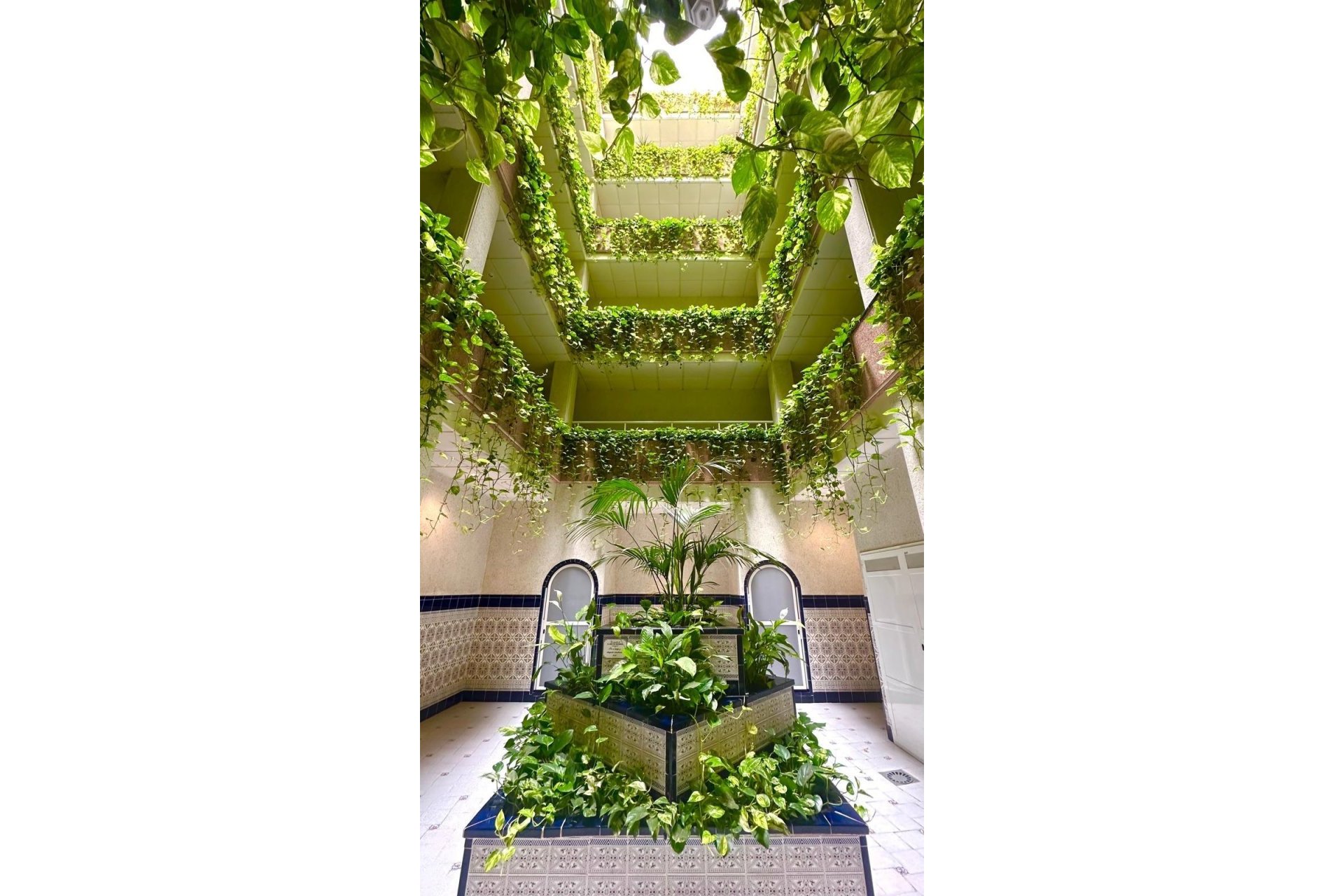 Revente - Attique -
Torrevieja - Centro