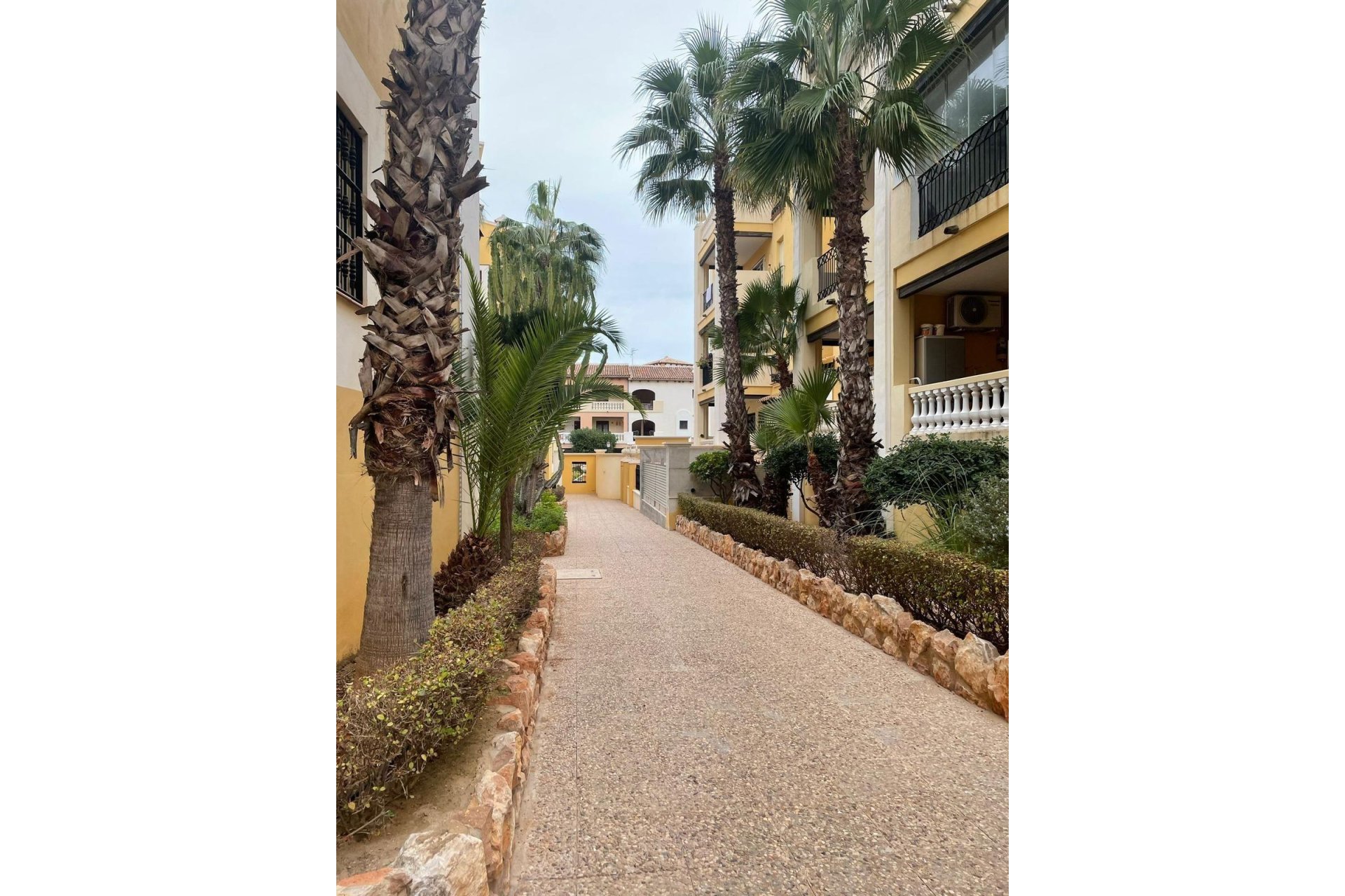 Revente - Attique -
Torrevieja - Los Frutales