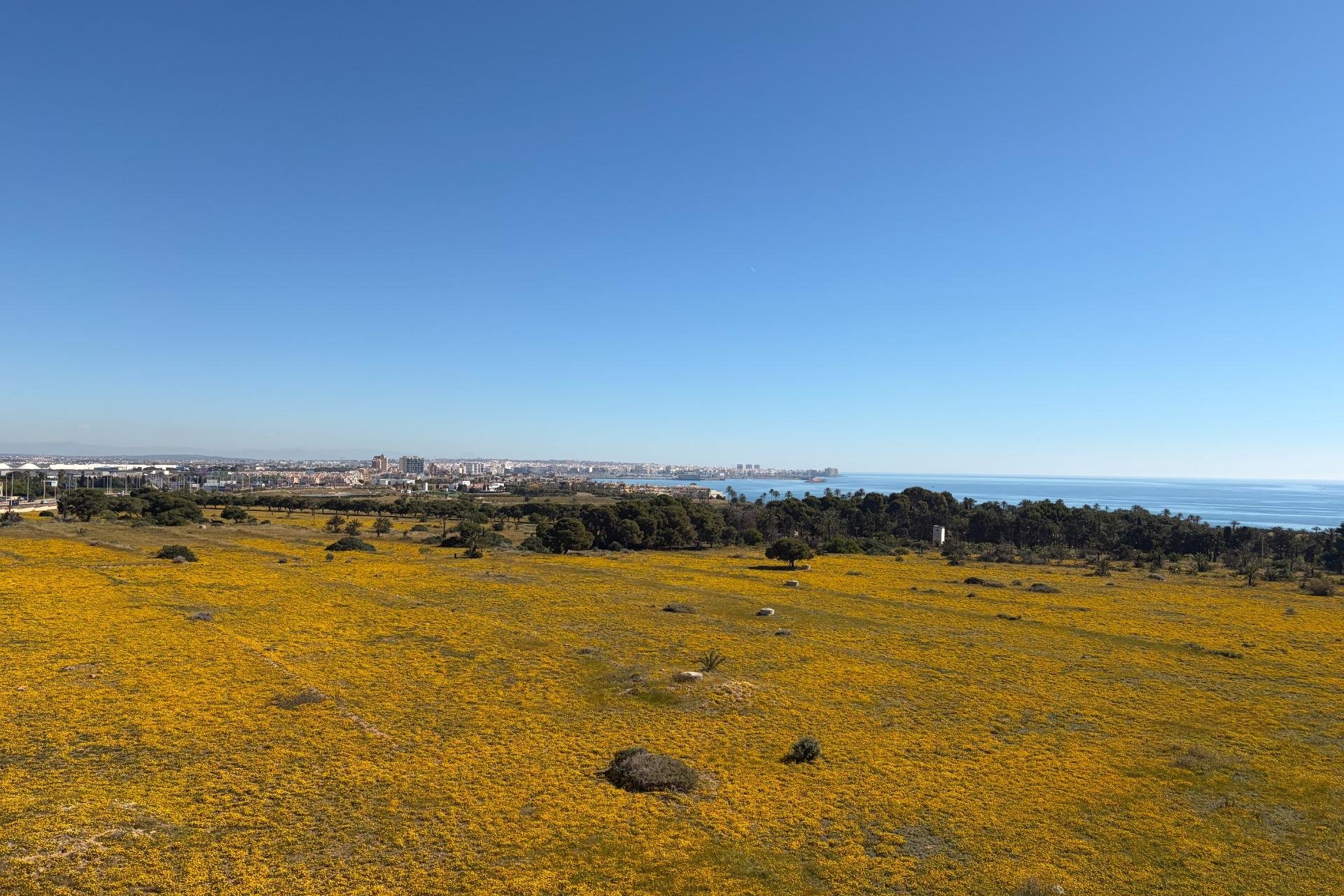 Revente - Attique -
Torrevieja - Punta Prima