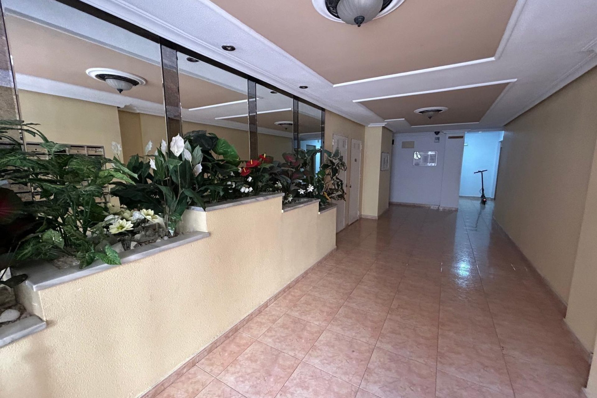 Revente - Attique -
Torrevieja