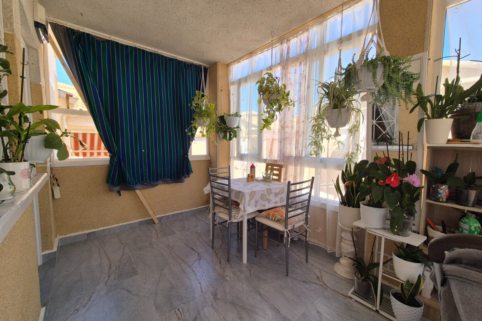 Revente - Bungalow -
Torrevieja - Costa Blanca
