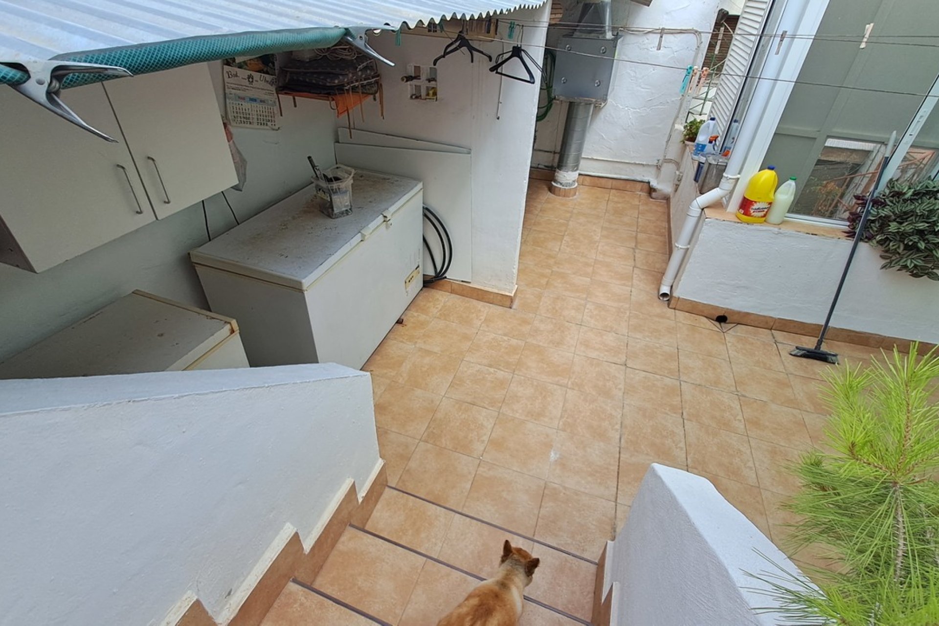Revente - Maison de ville -
Benijofar - Costa Blanca