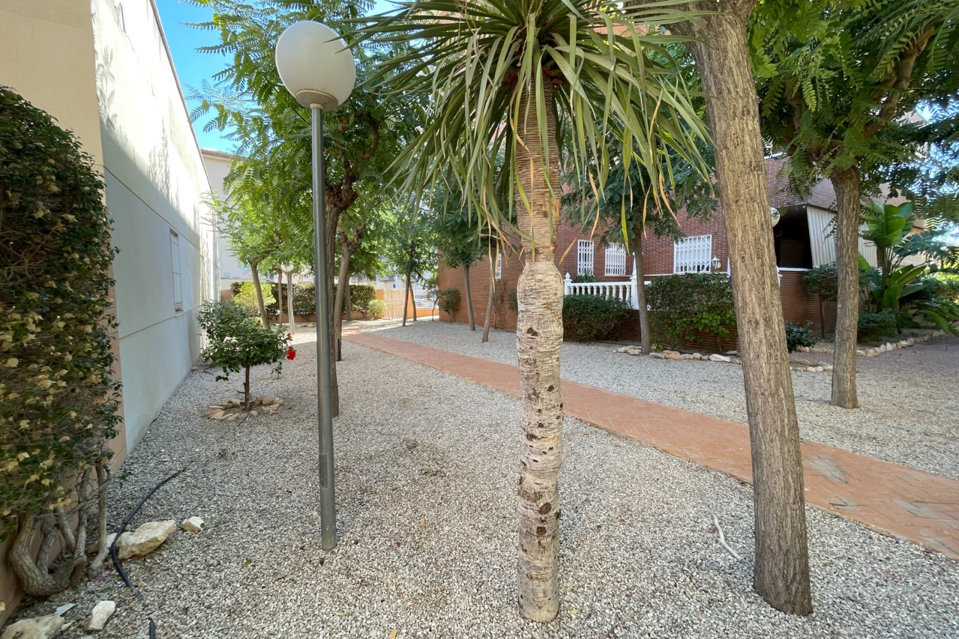 Revente - Maison de ville -
Elche - Costa Blanca