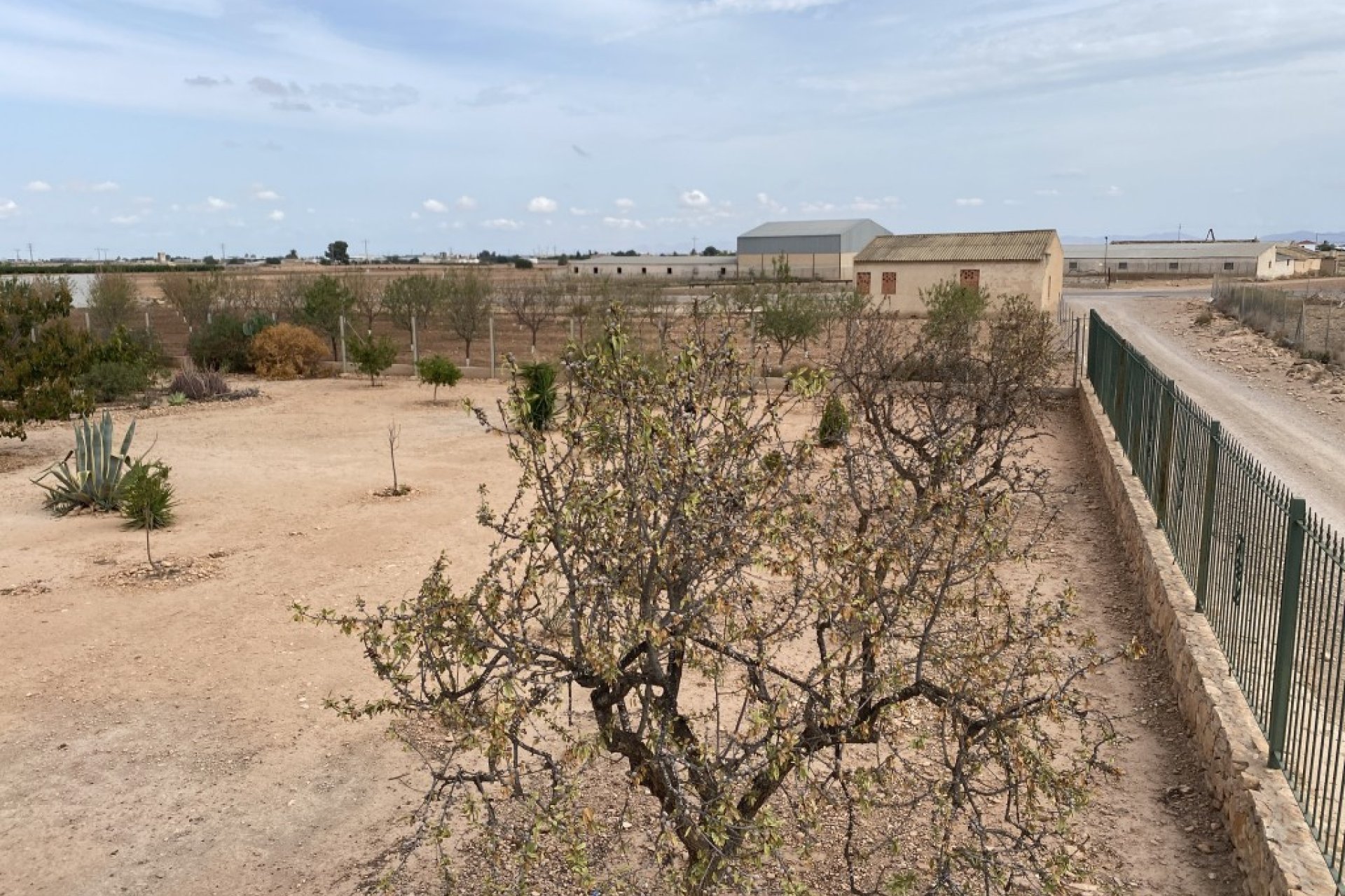 Revente - Maison de ville -
Fuente Álamo - Inland