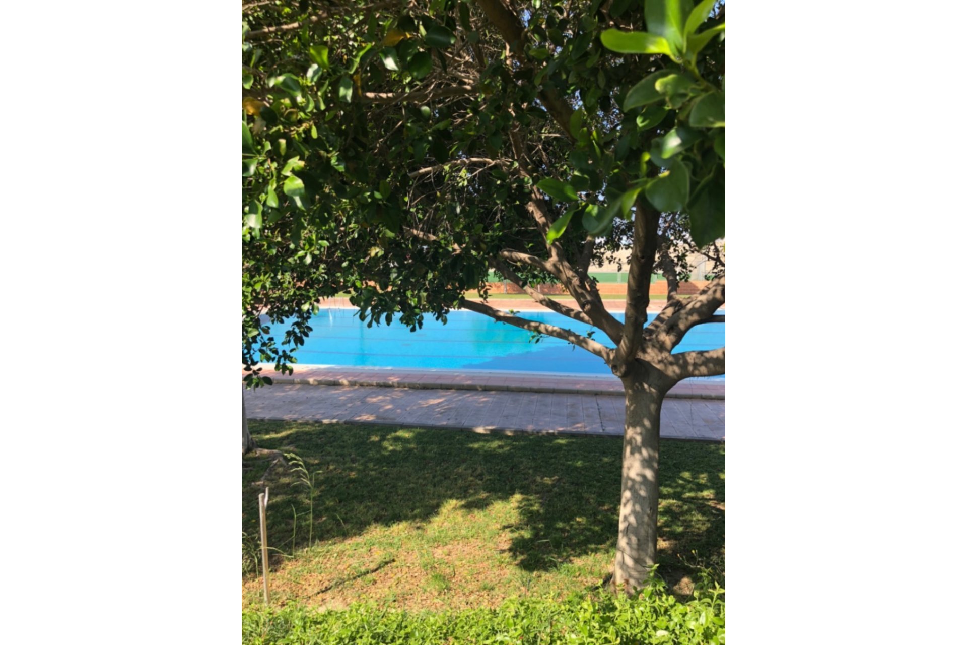 Revente - Semi Detached -
San Miguel de Salinas - Inland