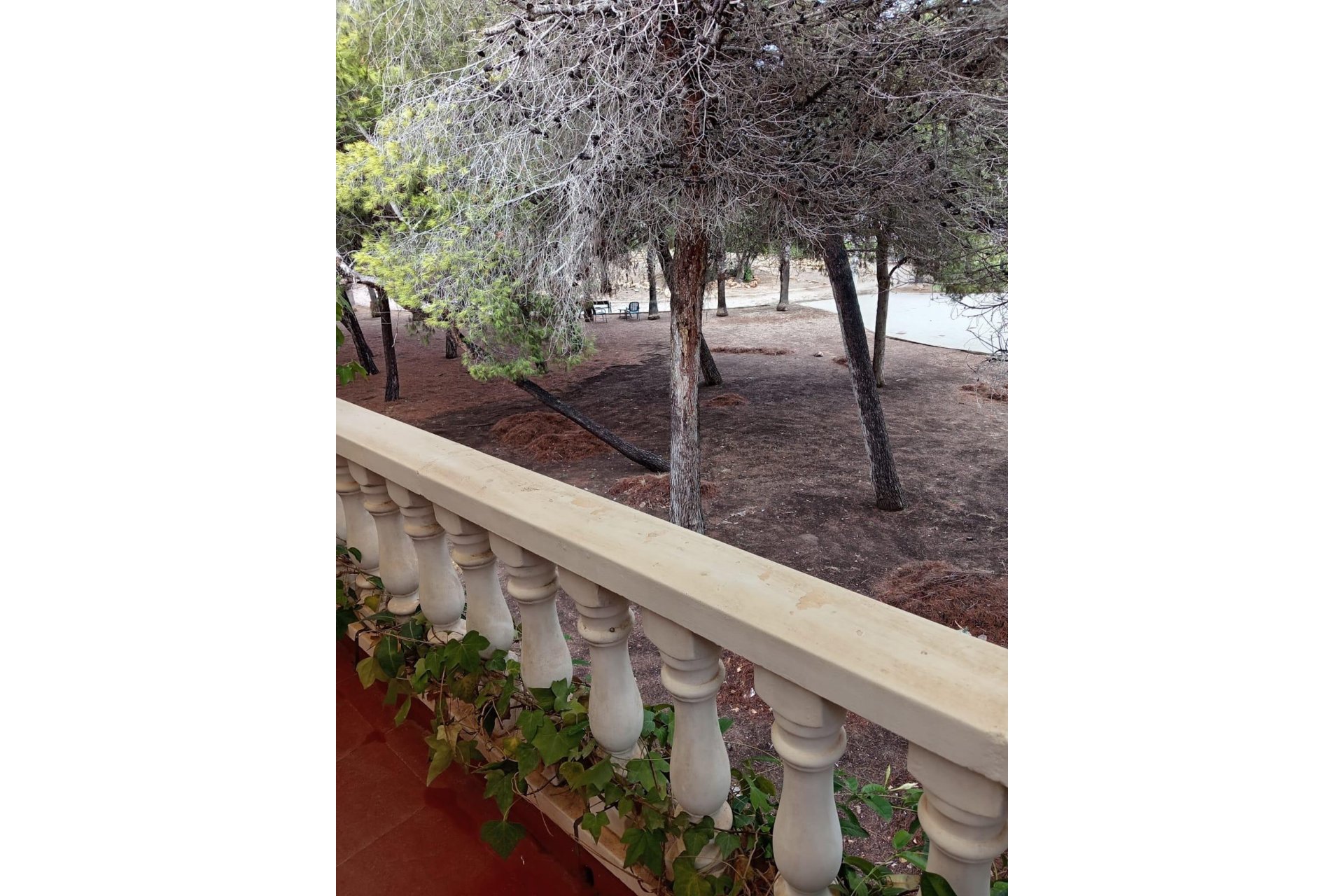 Revente - Town House -
Torrevieja - Costa Blanca