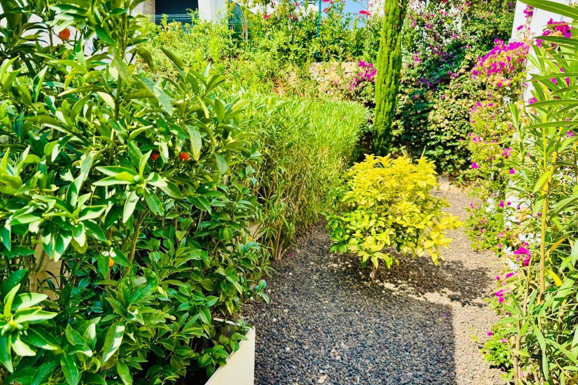 Revente - Villa -
Algorfa - Club De Golf La Finca