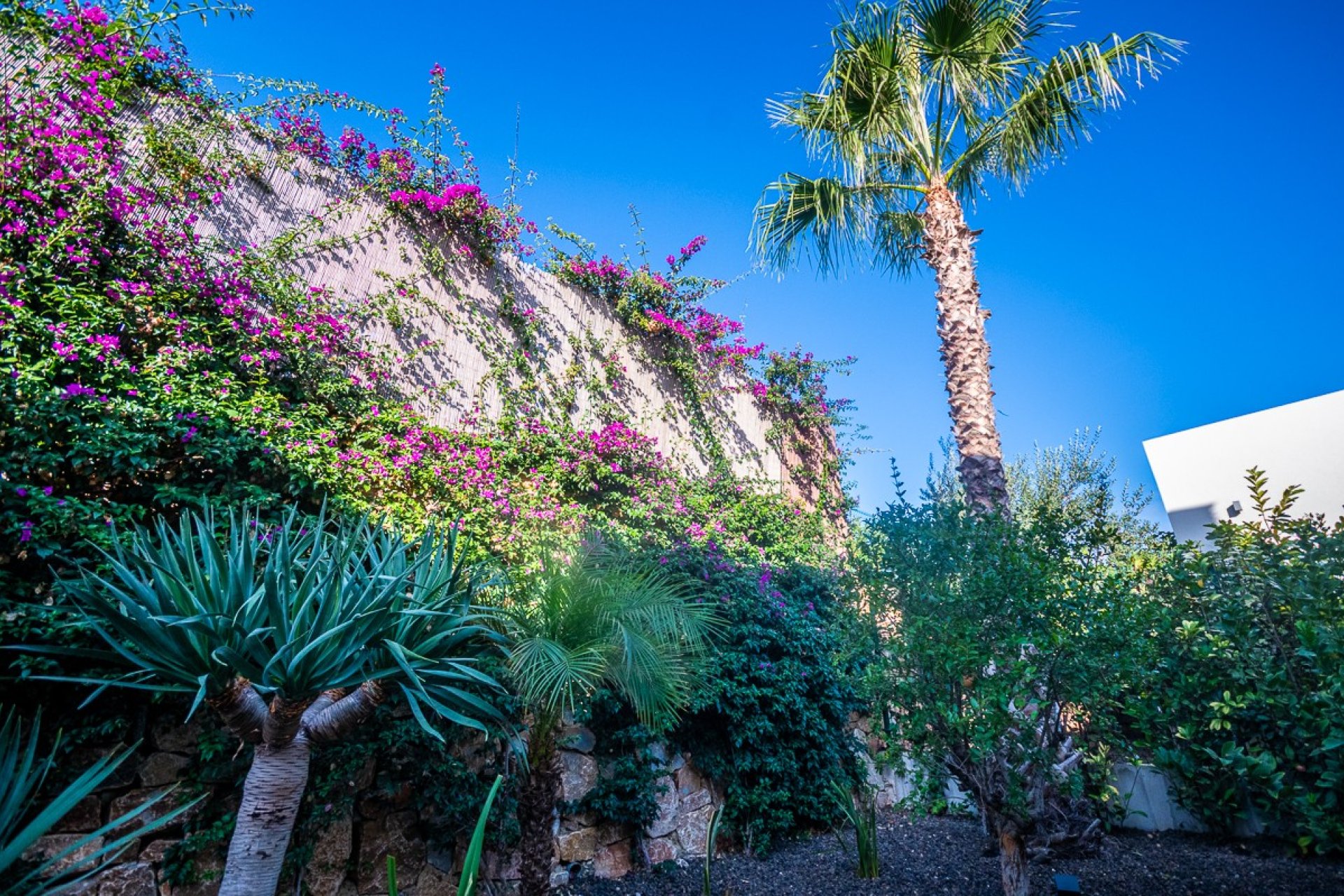 Revente - Villa -
Algorfa - Inland