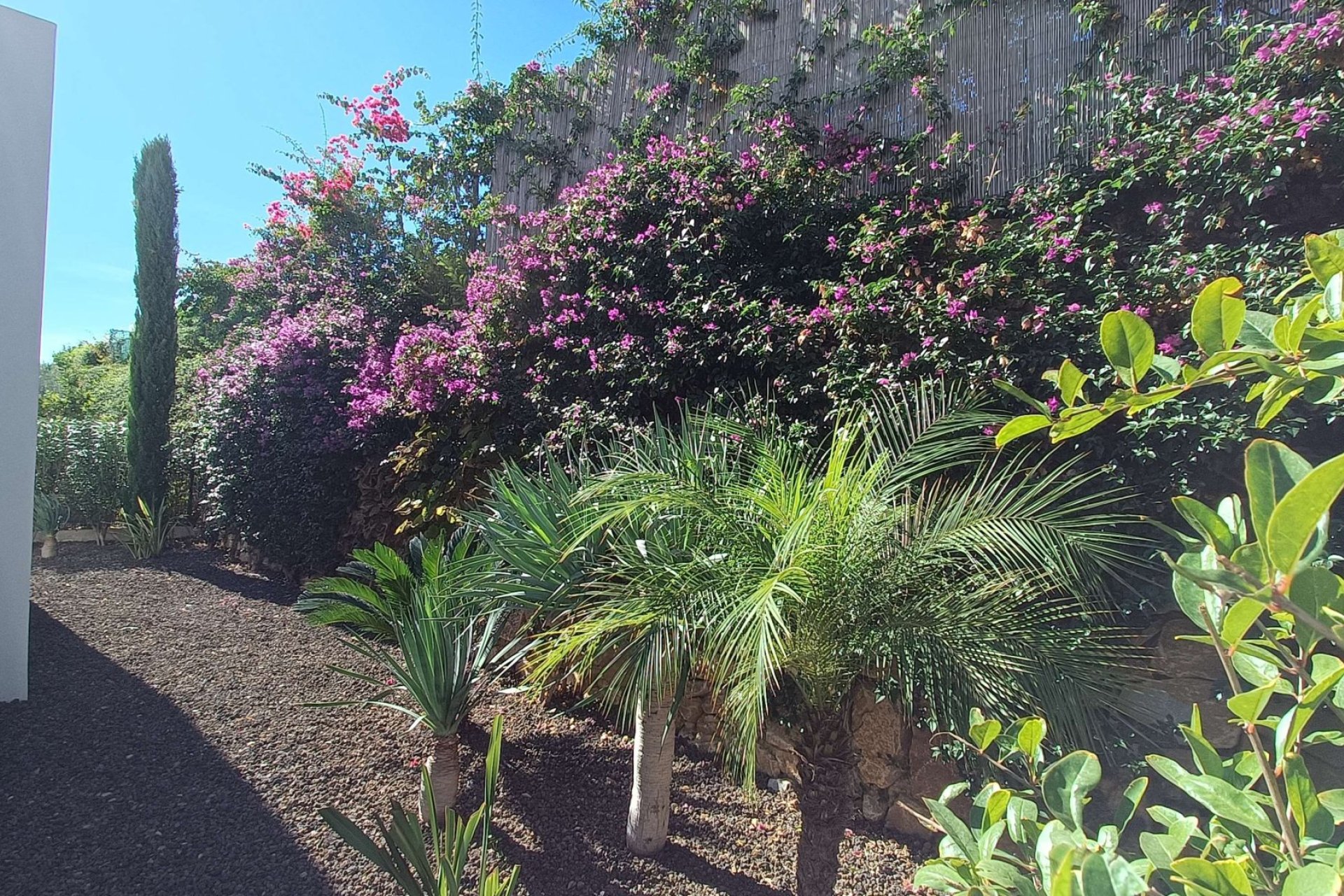 Revente - Villa -
Algorfa - Inland