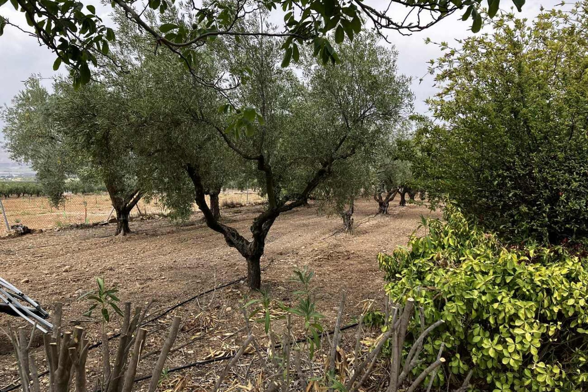 Revente - Villa -
Biar - Costa Blanca