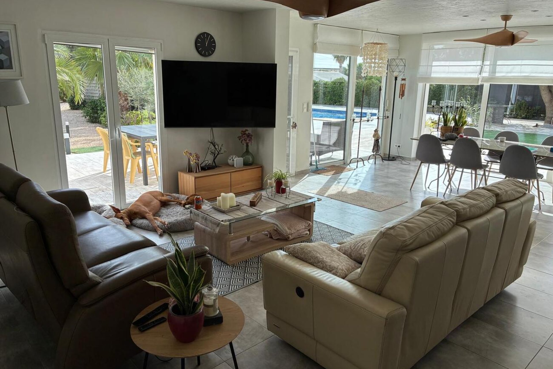 Revente - Villa -
Crevillent - Costa Blanca