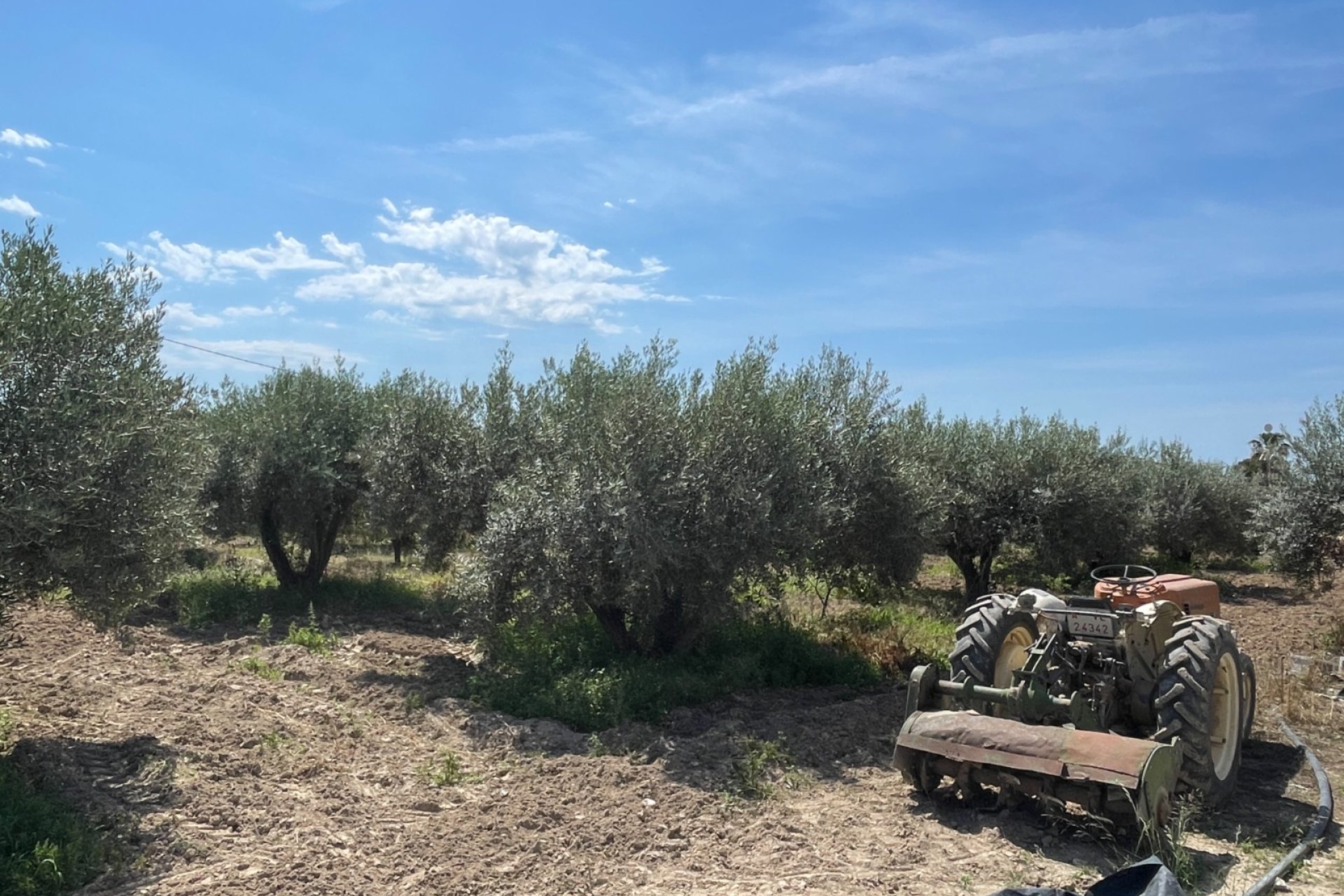 Revente - Villa -
Crevillent - Inland