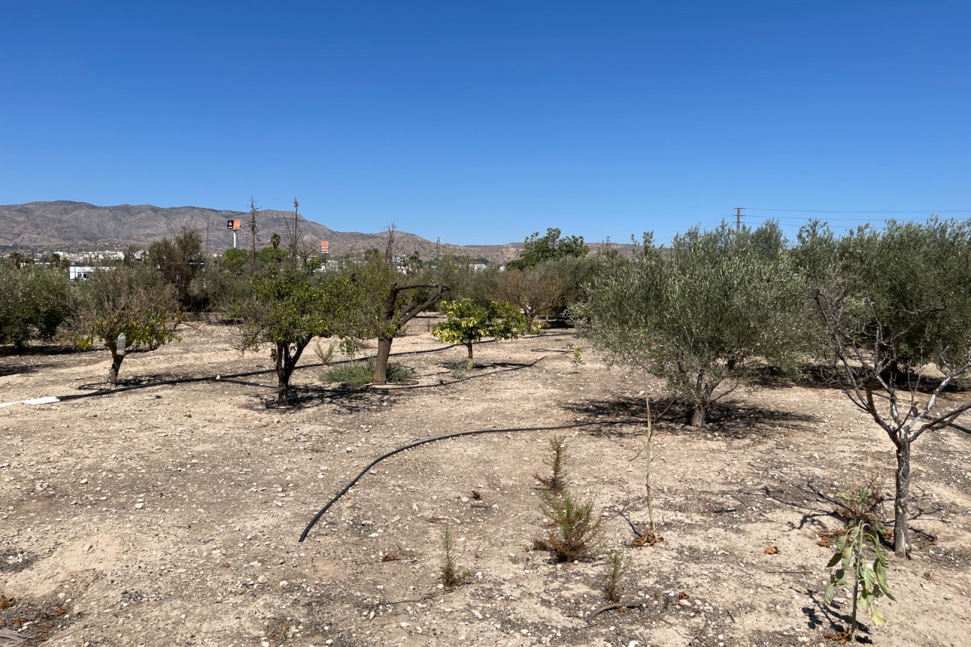 Revente - Villa -
Crevillent - Inland