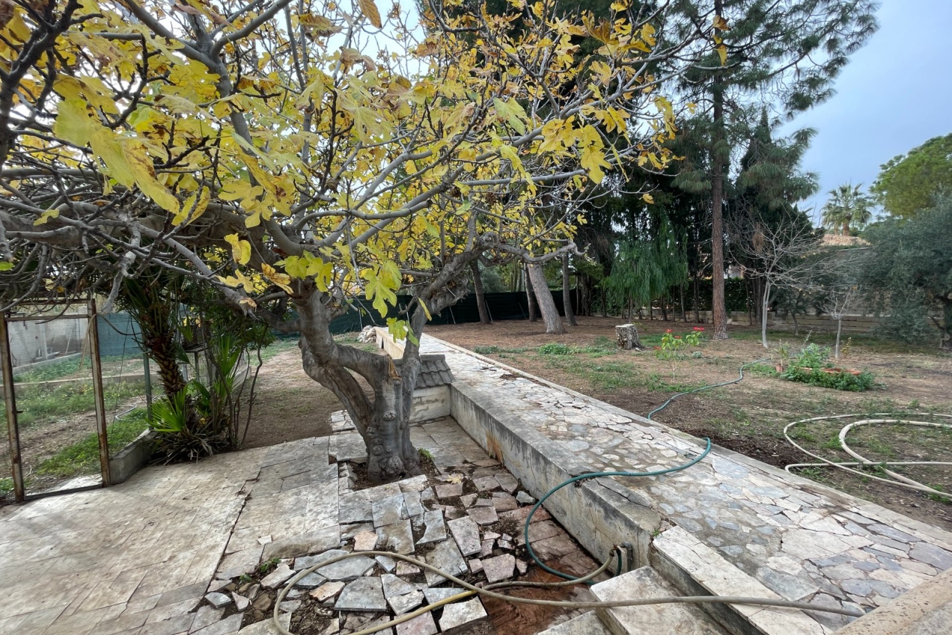 Revente - Villa -
Elche - Costa Blanca