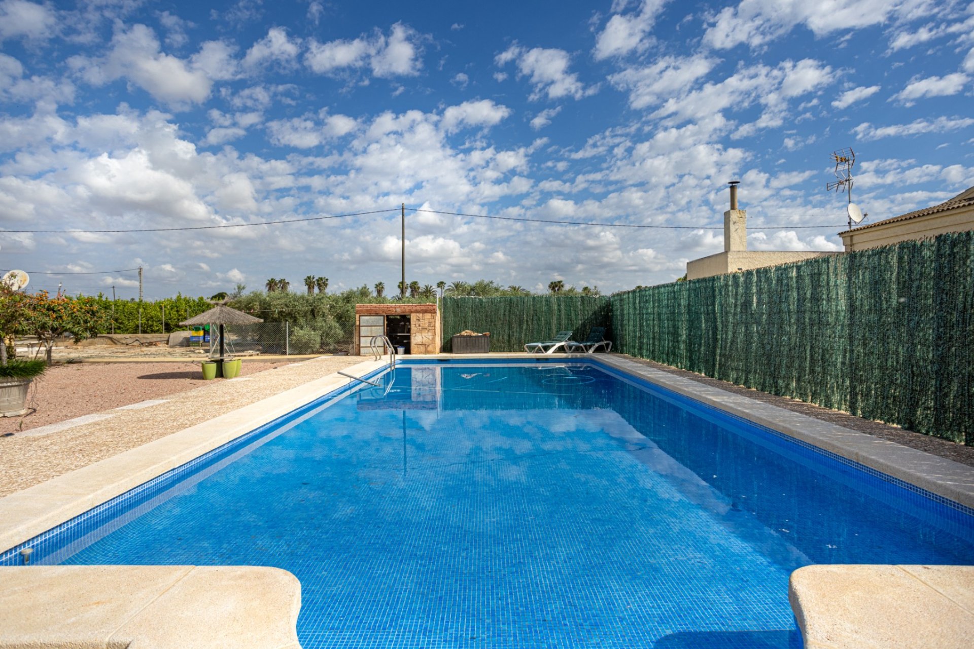 Revente - Villa -
Elche - Costa Blanca