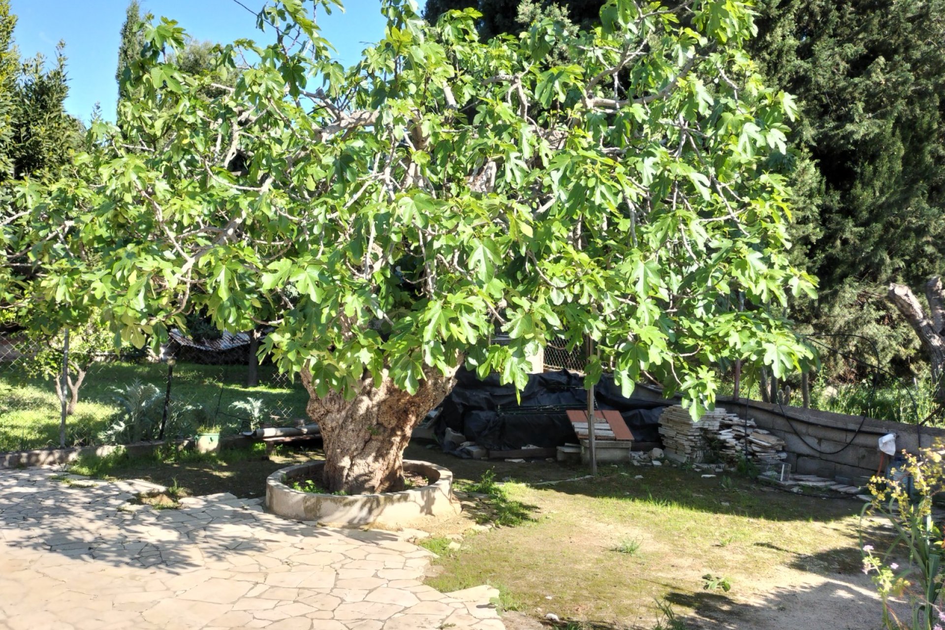 Revente - Villa -
Elda - Inland