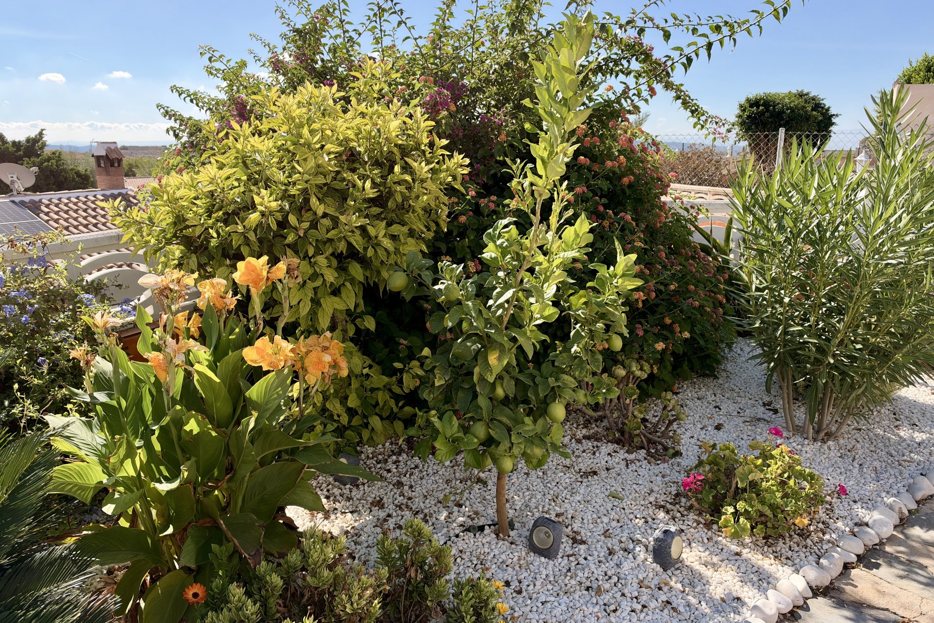 Revente - Villa -
Fortuna - Inland